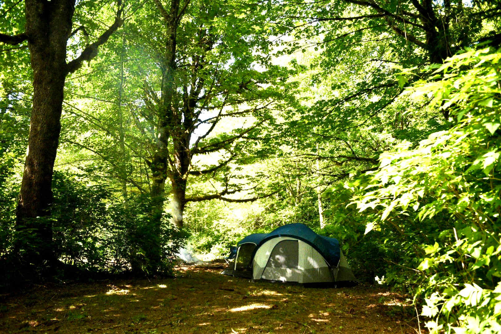 Group site (#2)