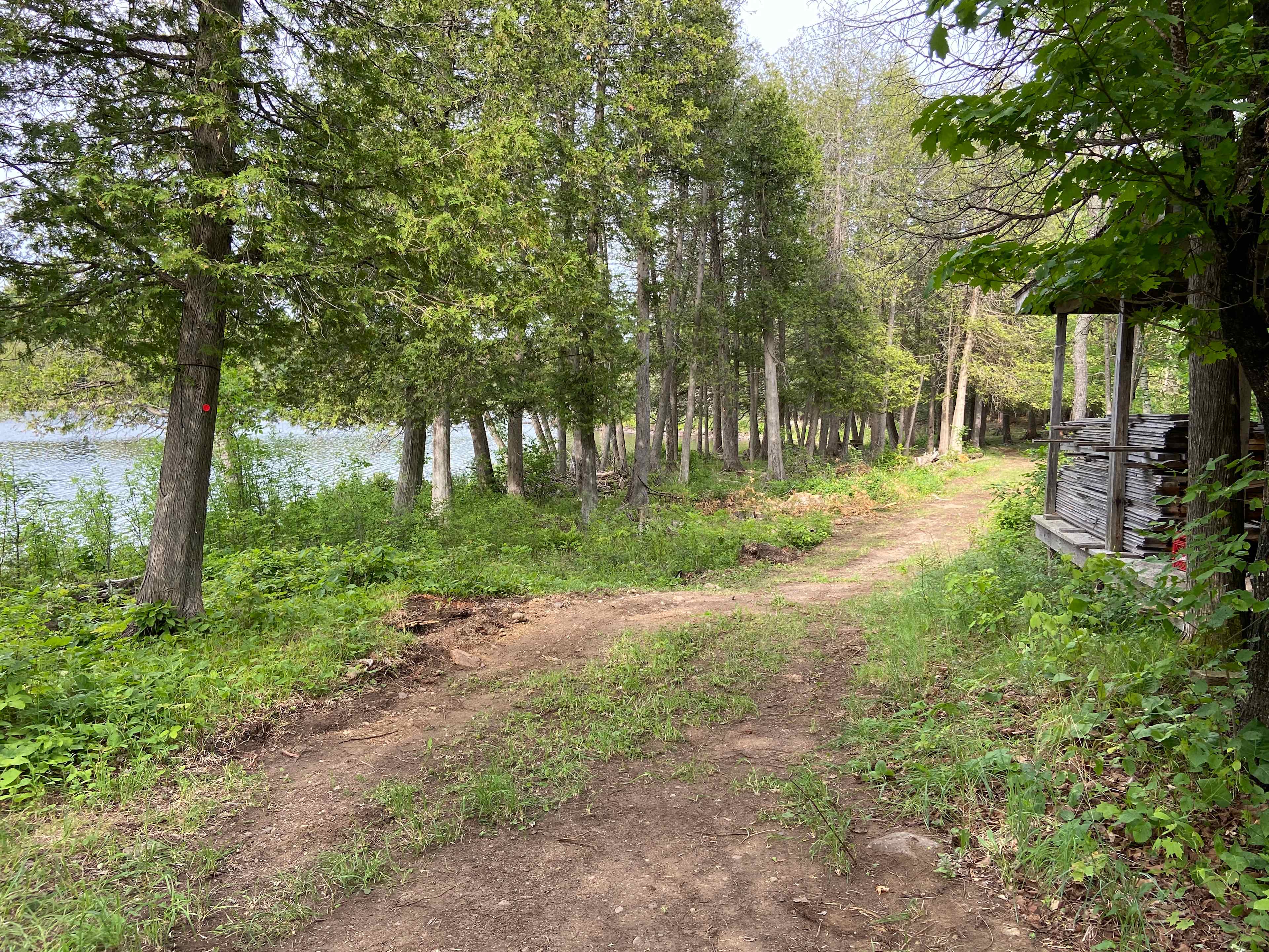 River laneway.
Great spot for tents or a small camper trailer as the ground is level.
This is located 1Km from the main entrance.