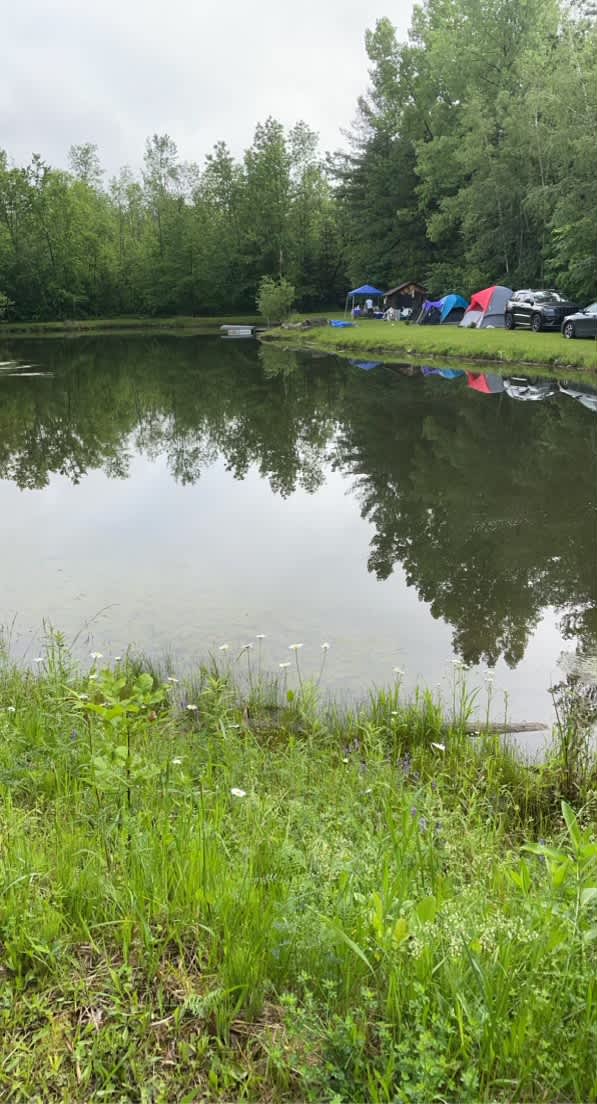 The pond 
