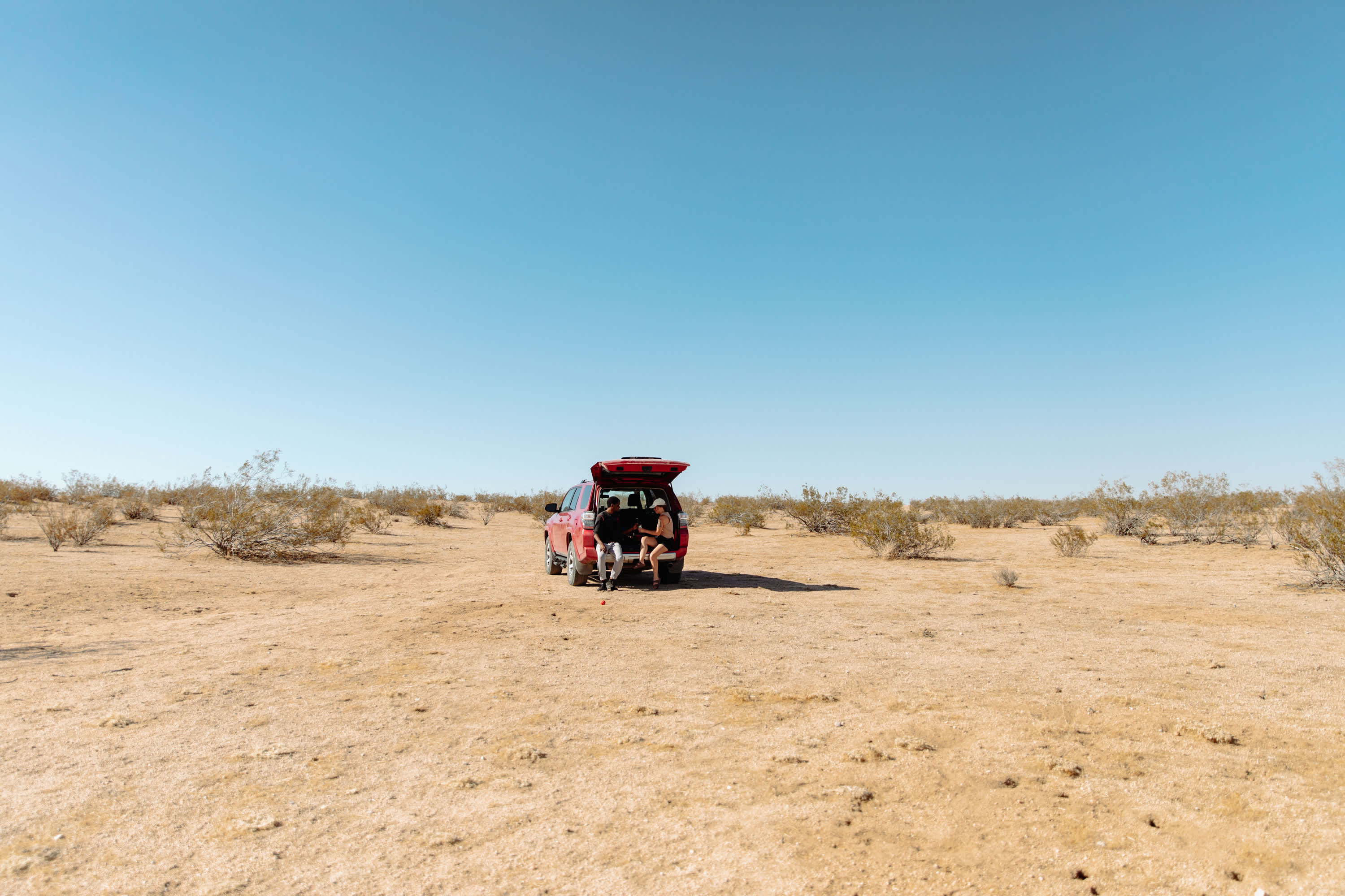 Desert Wonderland