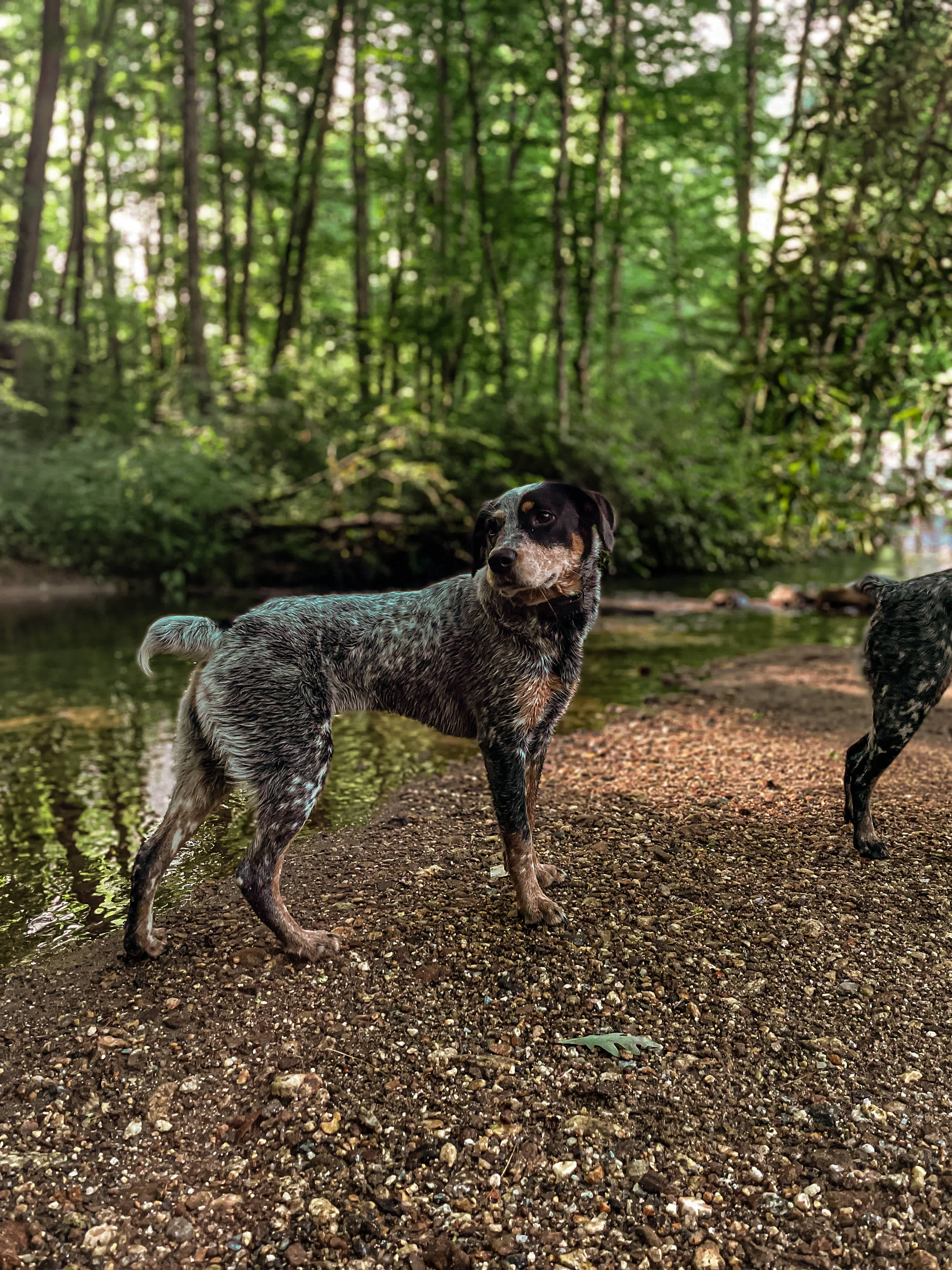 Trout Creek Campgrounds