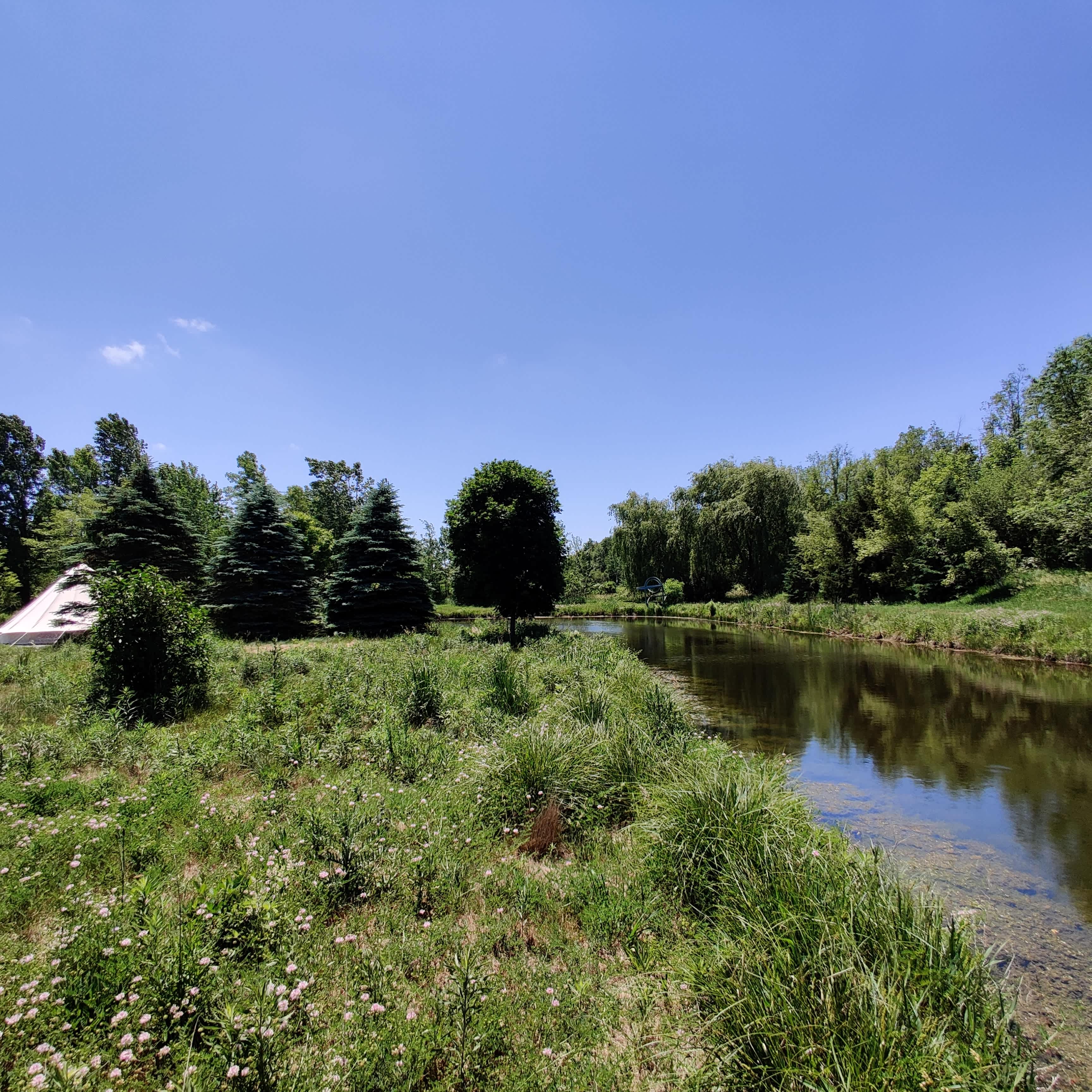 Picture of the site