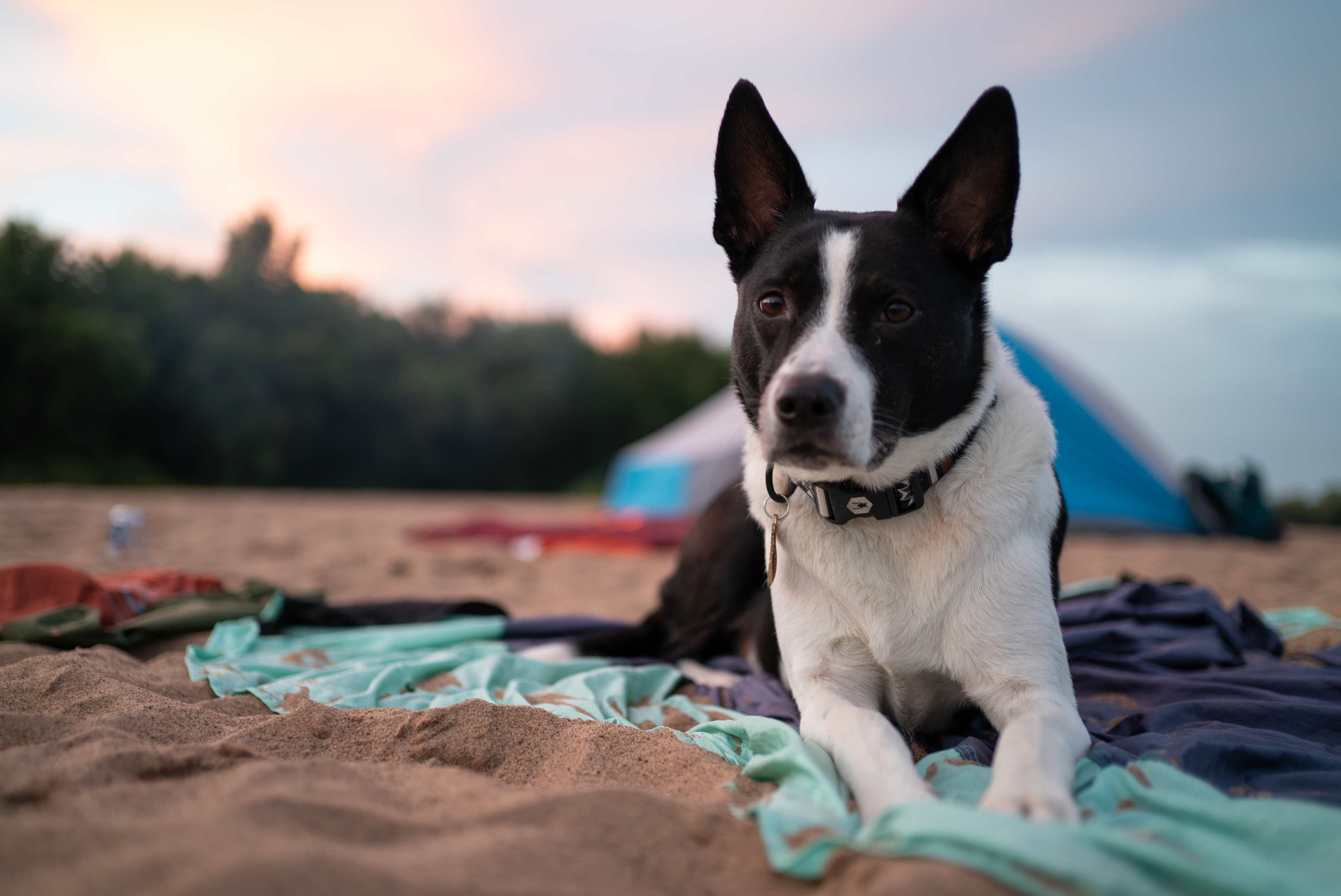 Wisconsin River Sandbar Camping