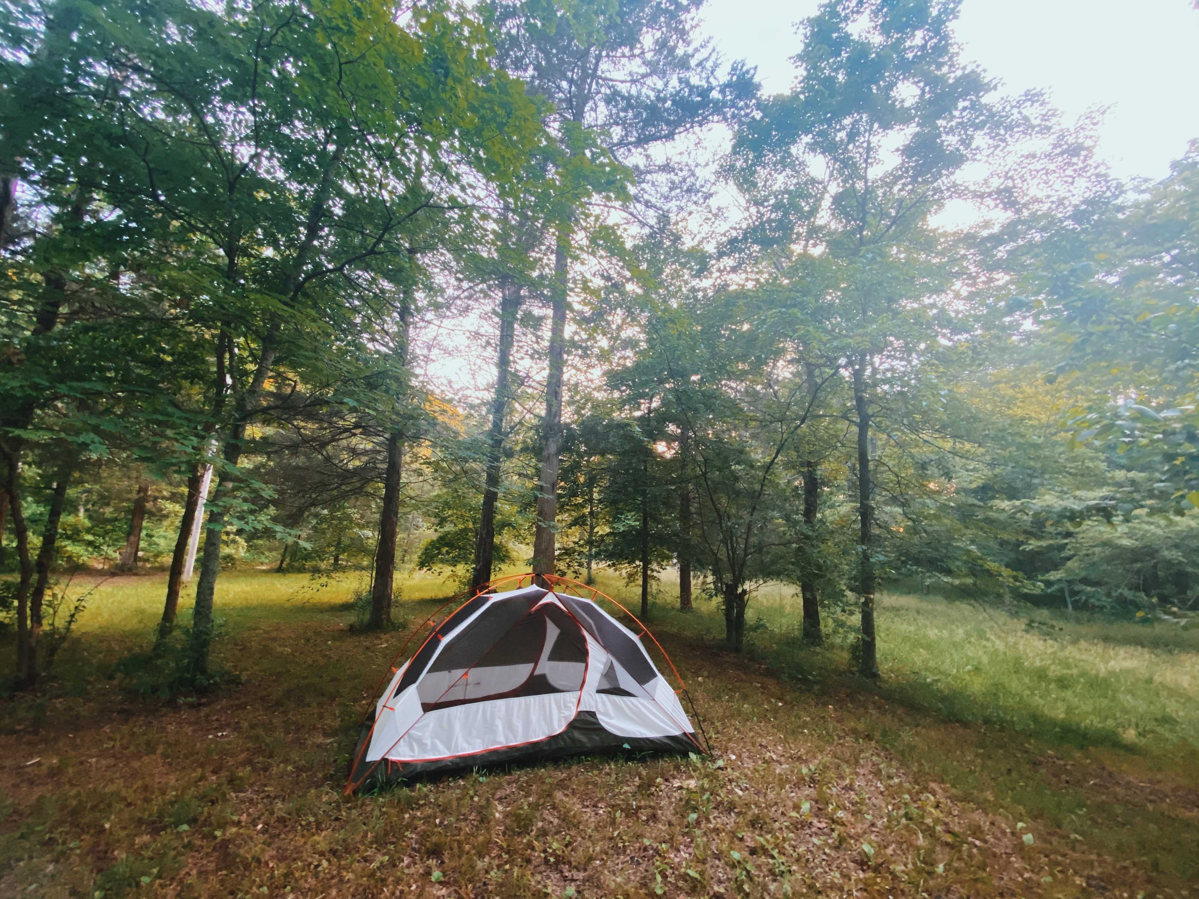 Site 2