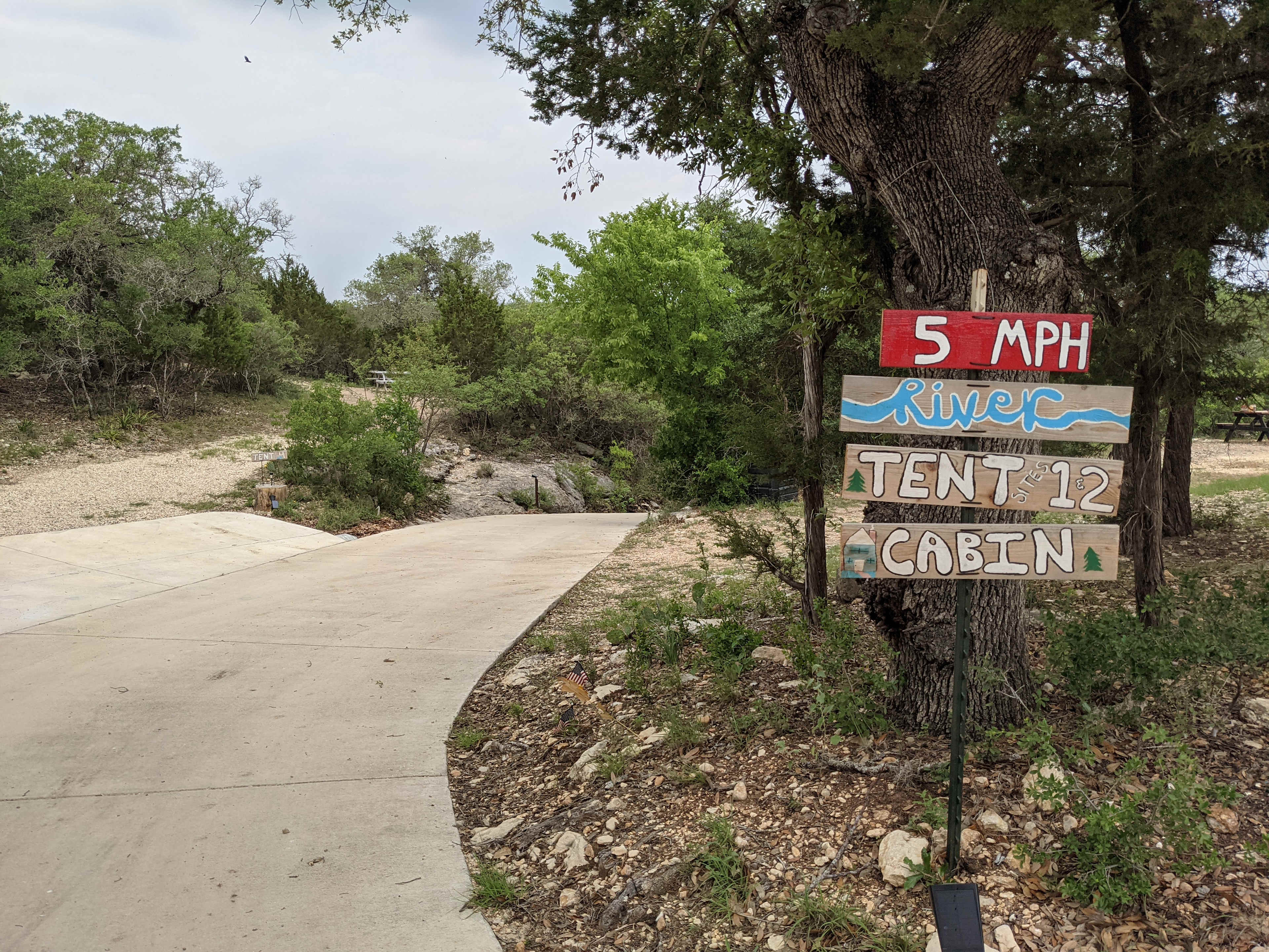 Picture of the site