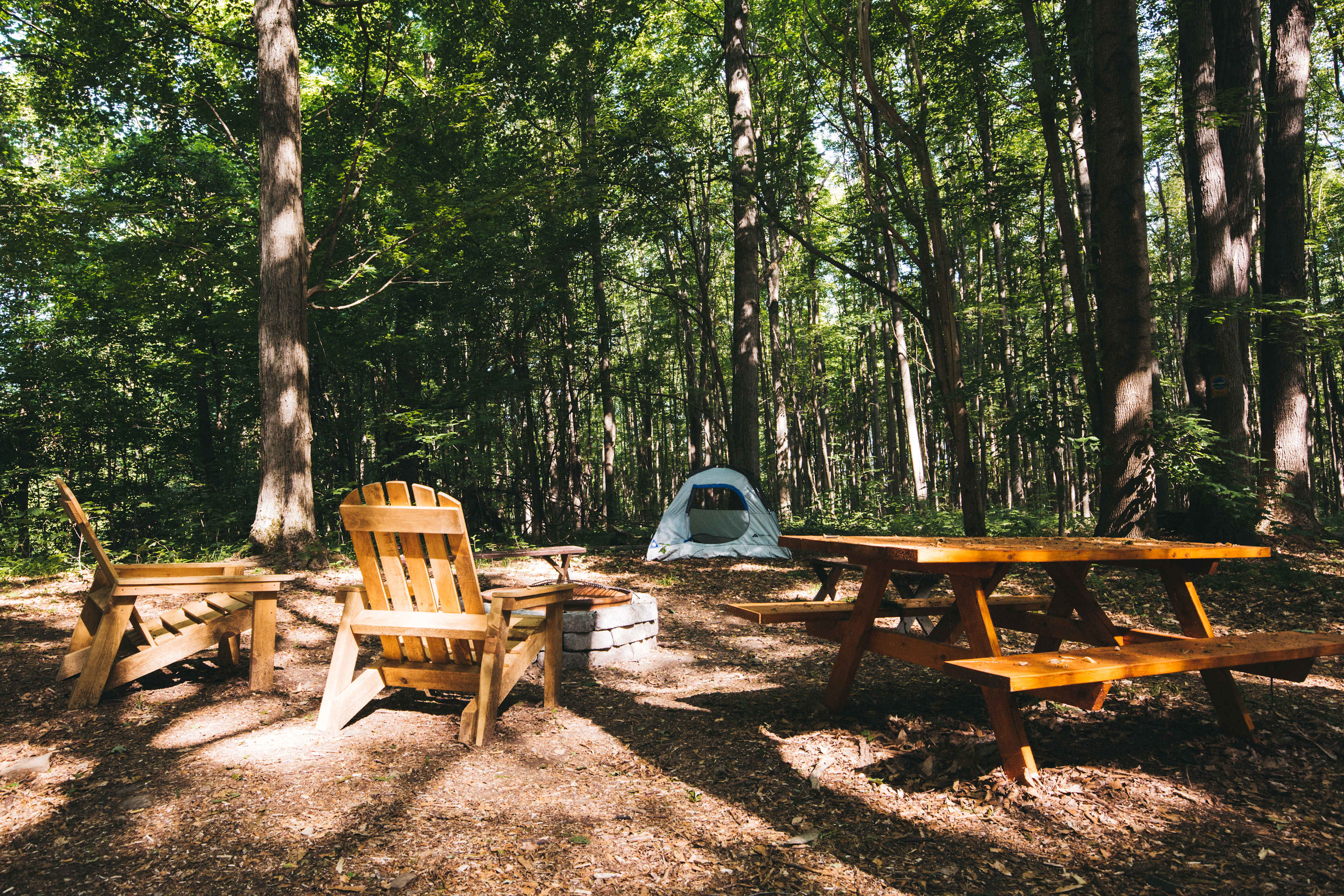 Picnic area at site 1