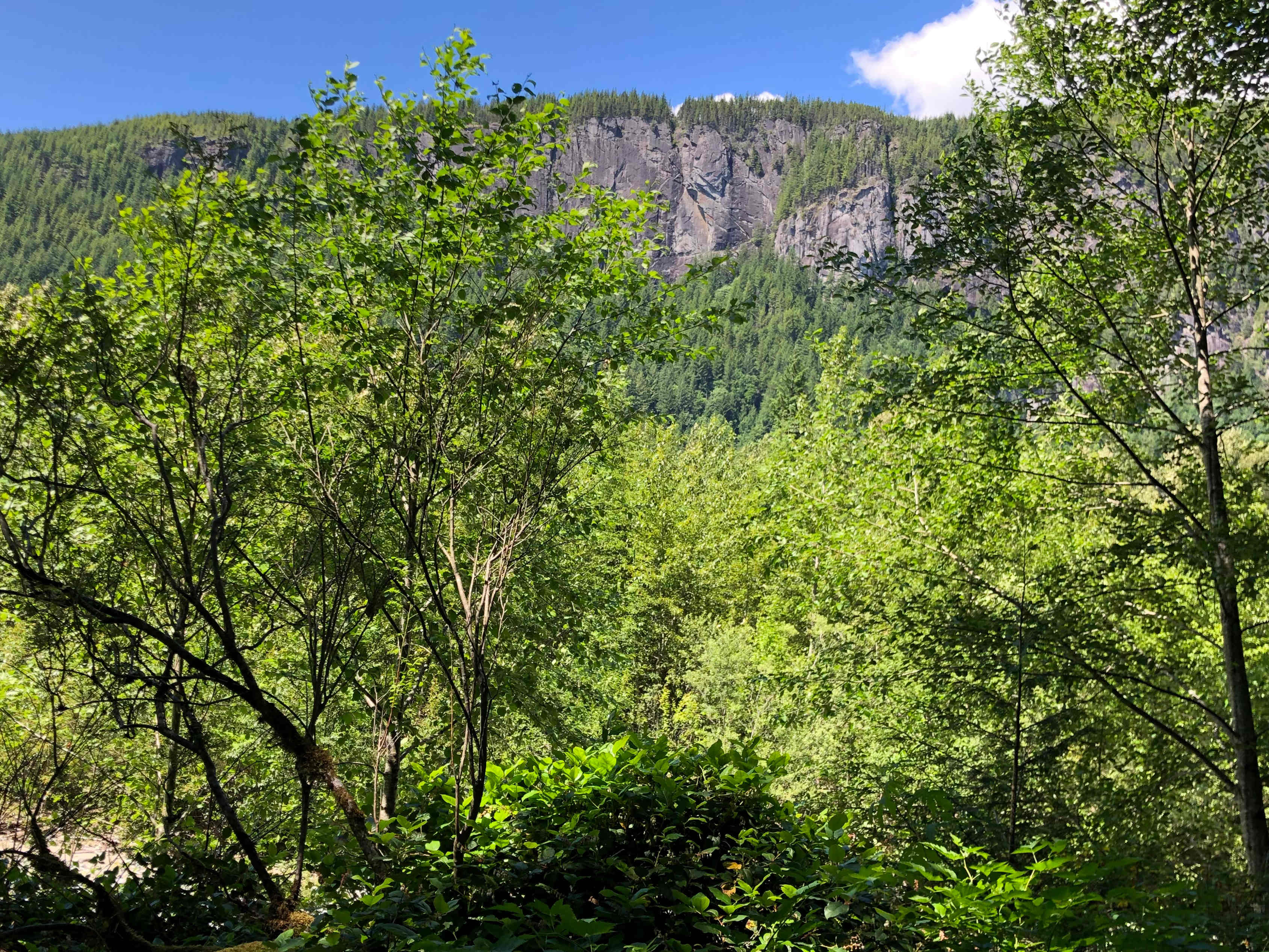 View from bank of channel, looking north at the Index Town Wall. 