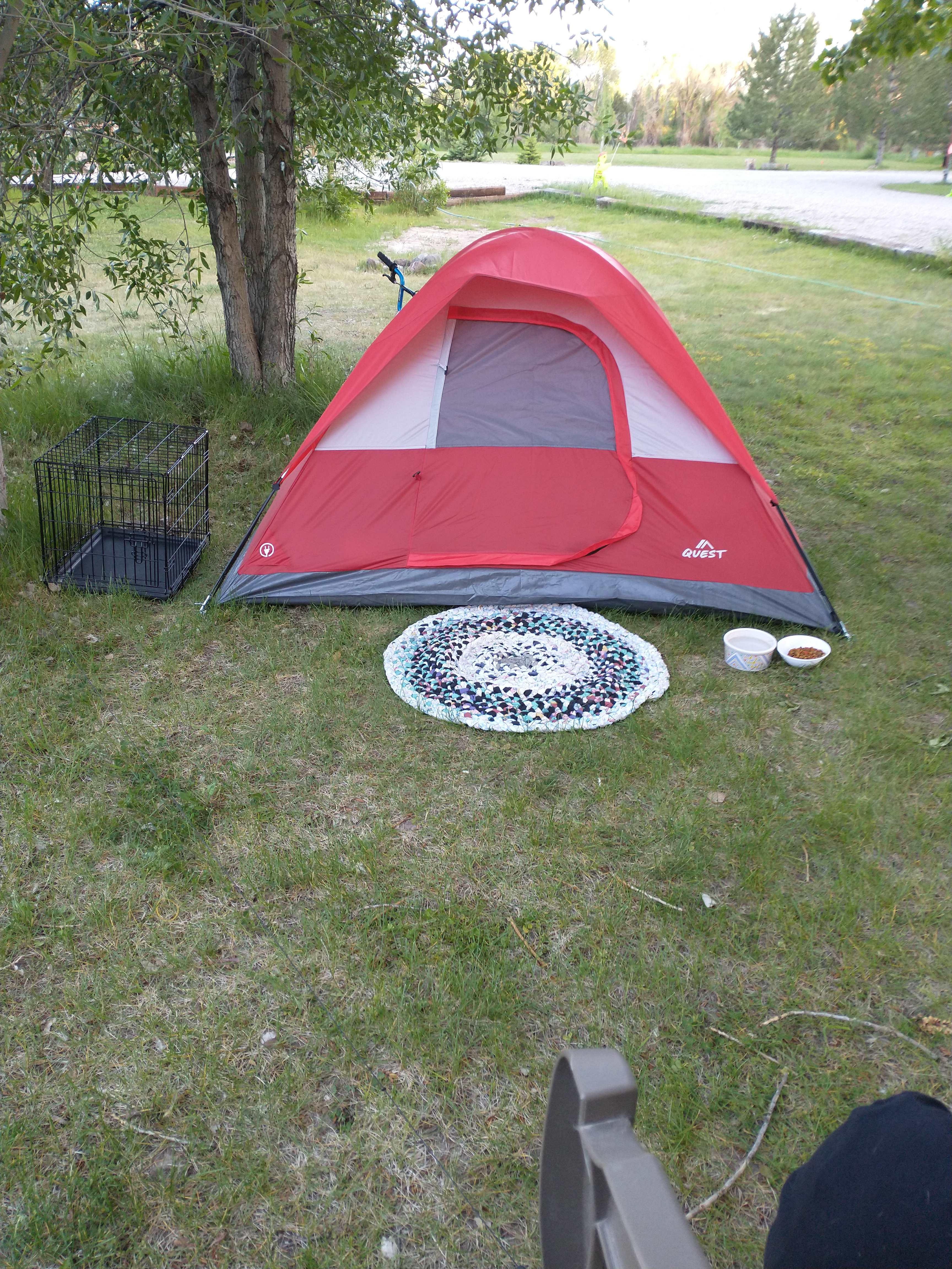 Picture of the site