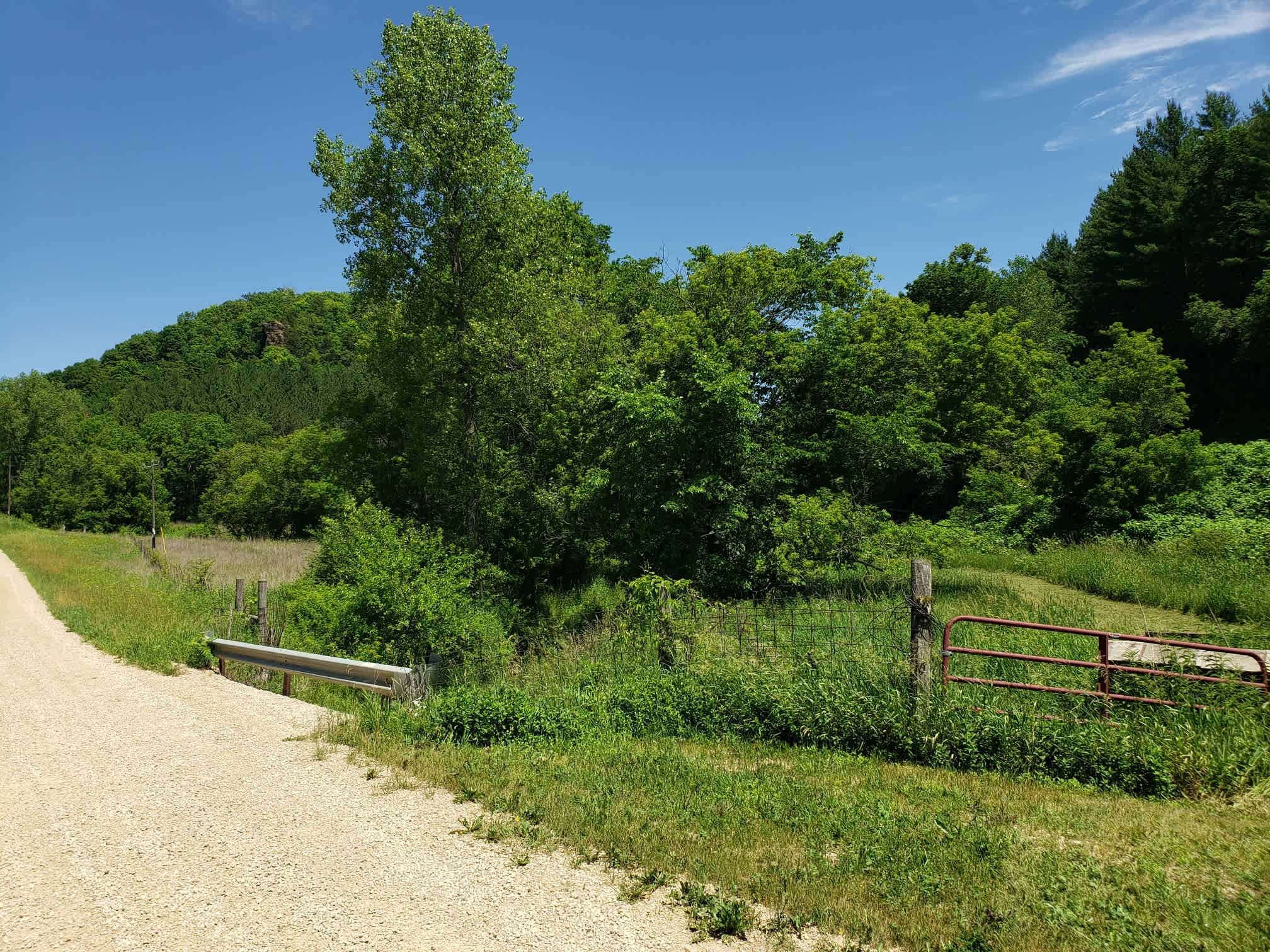 Creekside field campsite