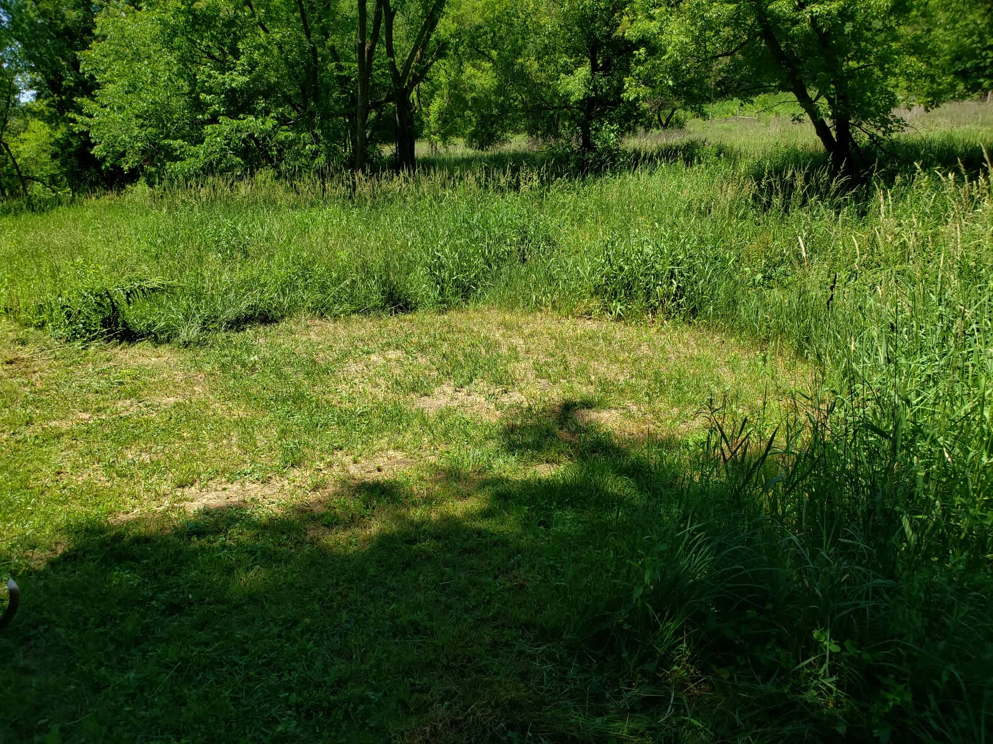 Driftless Haven 125 Acres & Creek