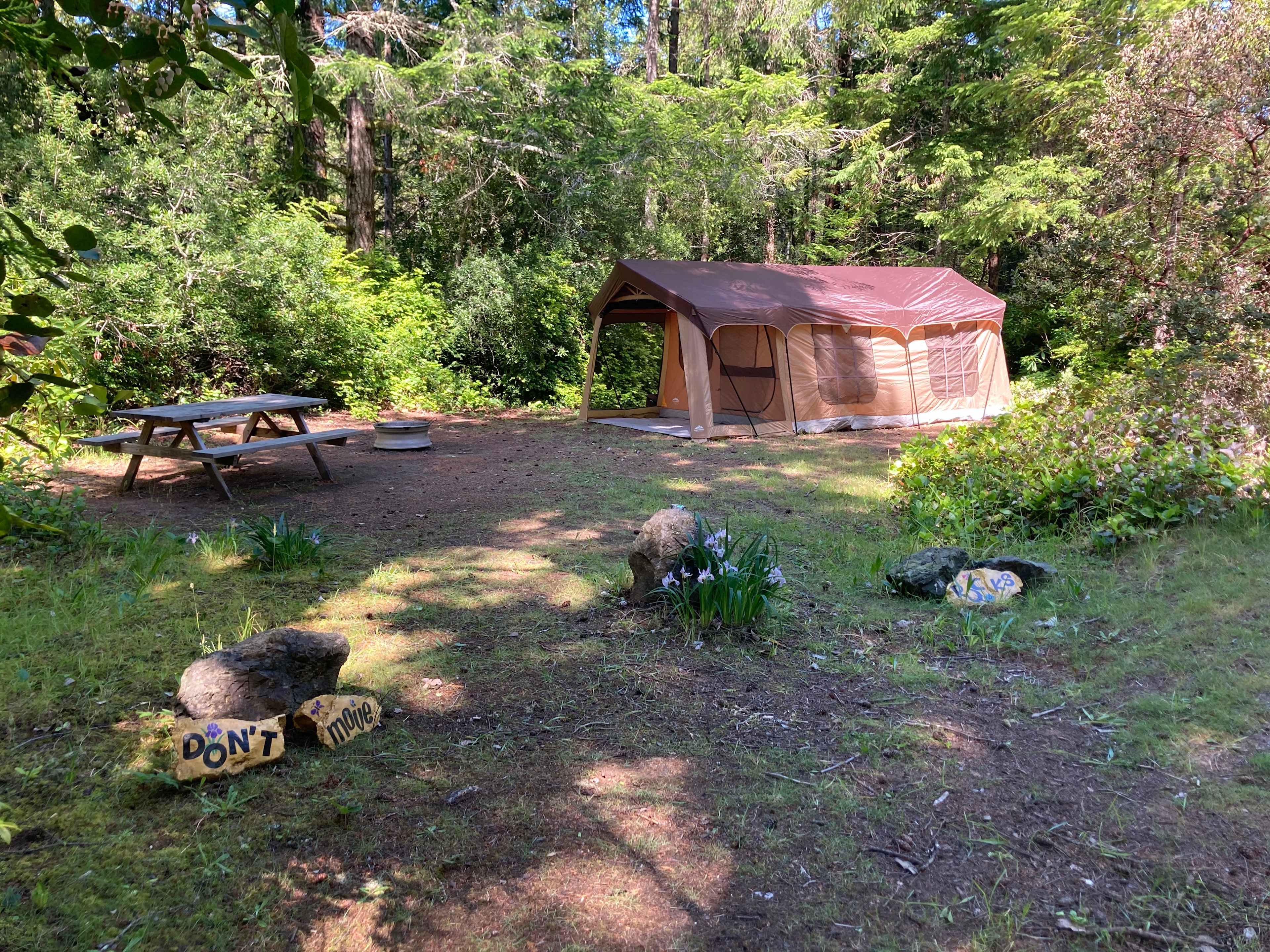Picture of the site