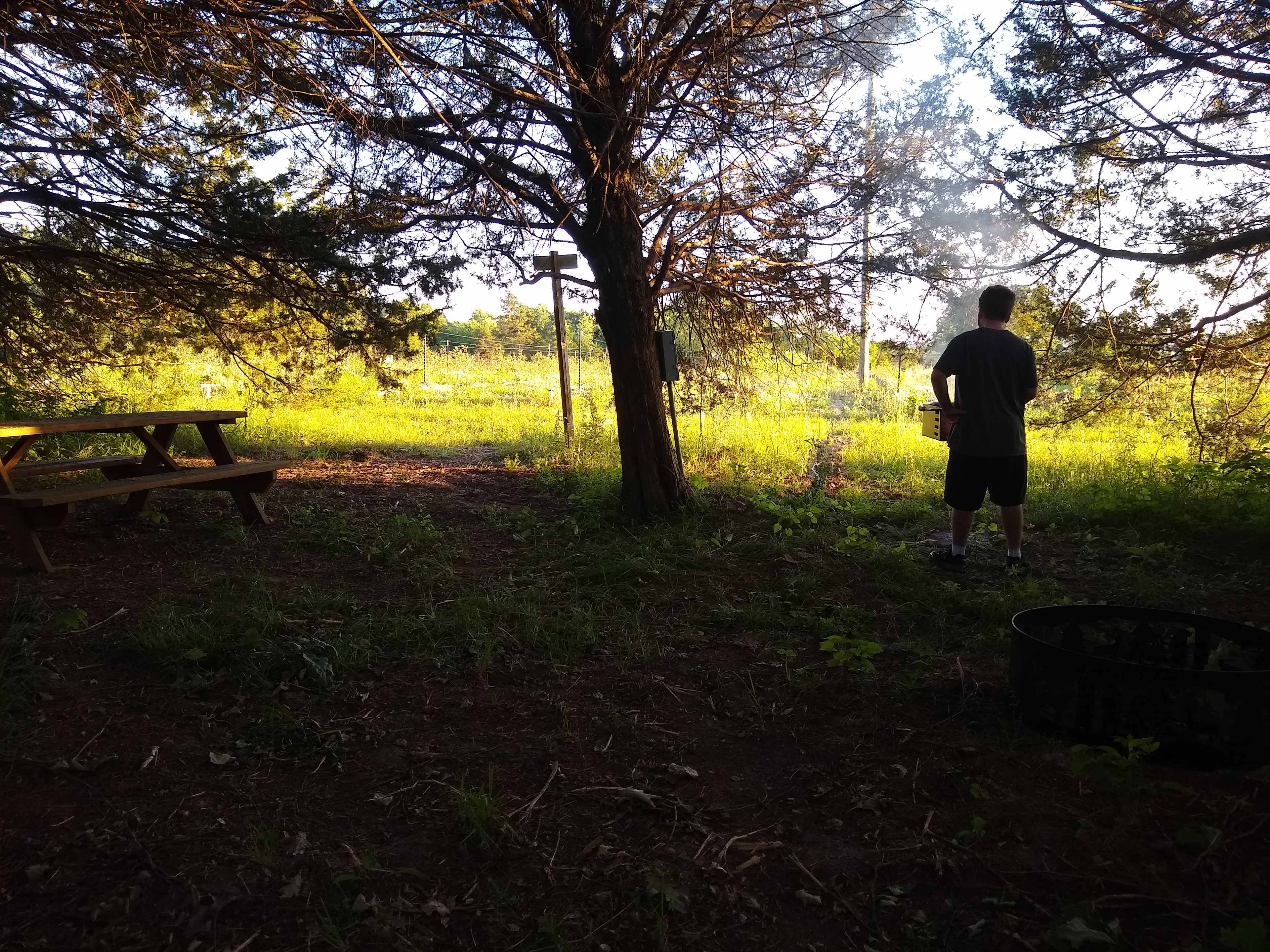 Picture of the site