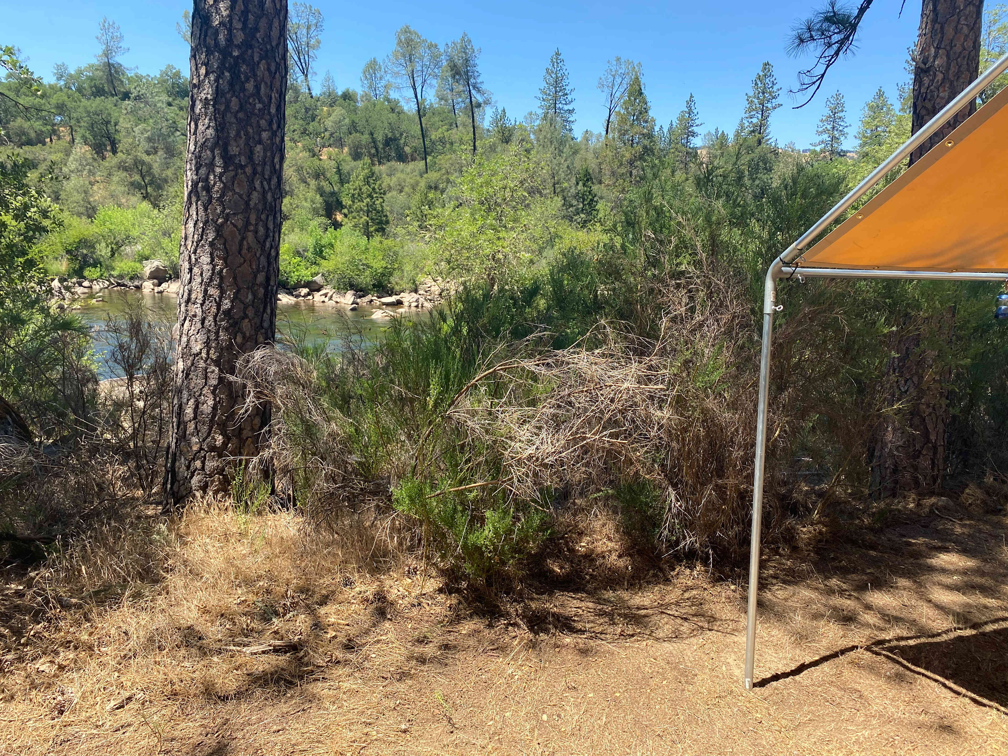 Picture of the site