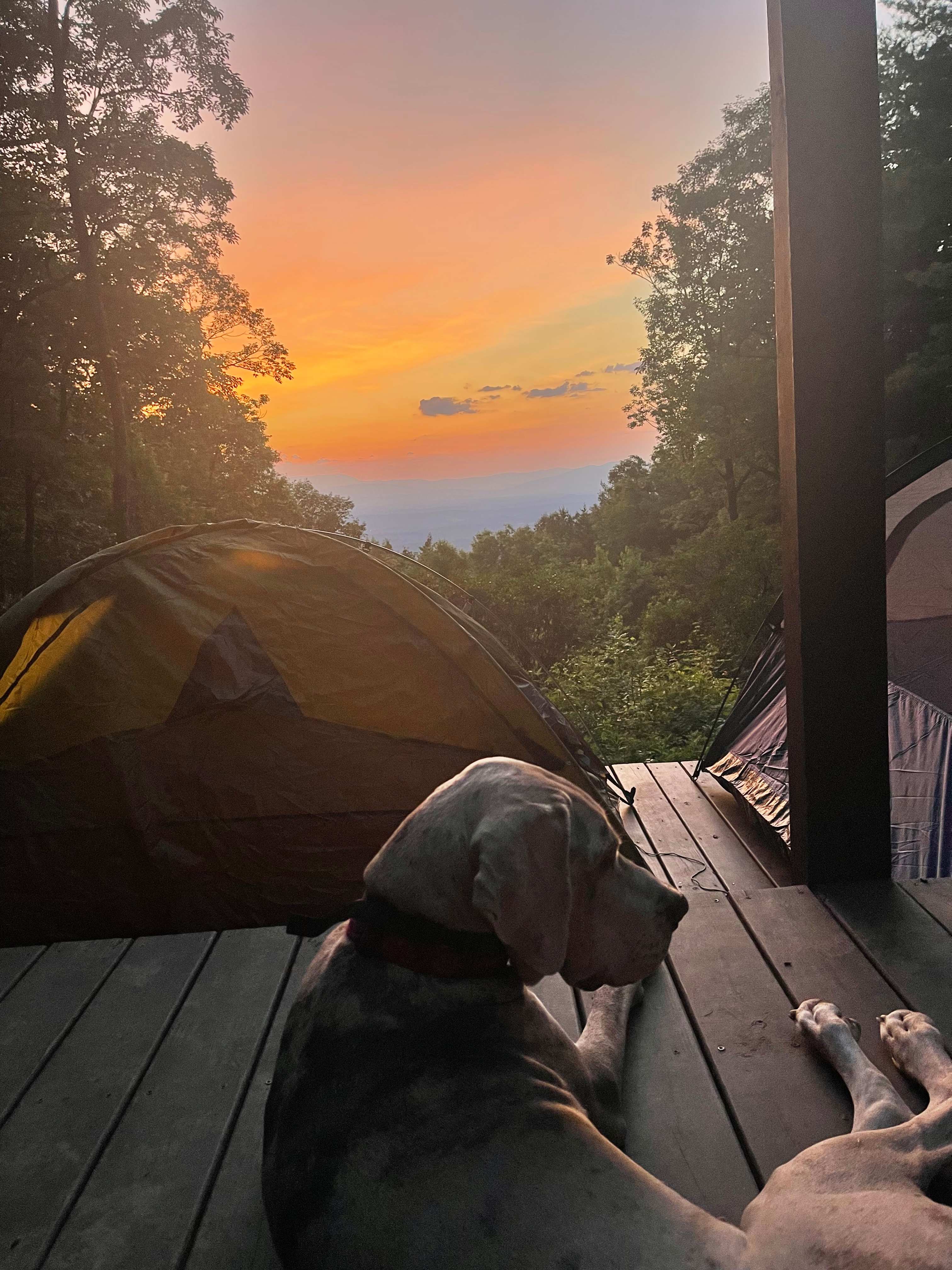 Remote Mountain Camping Platform