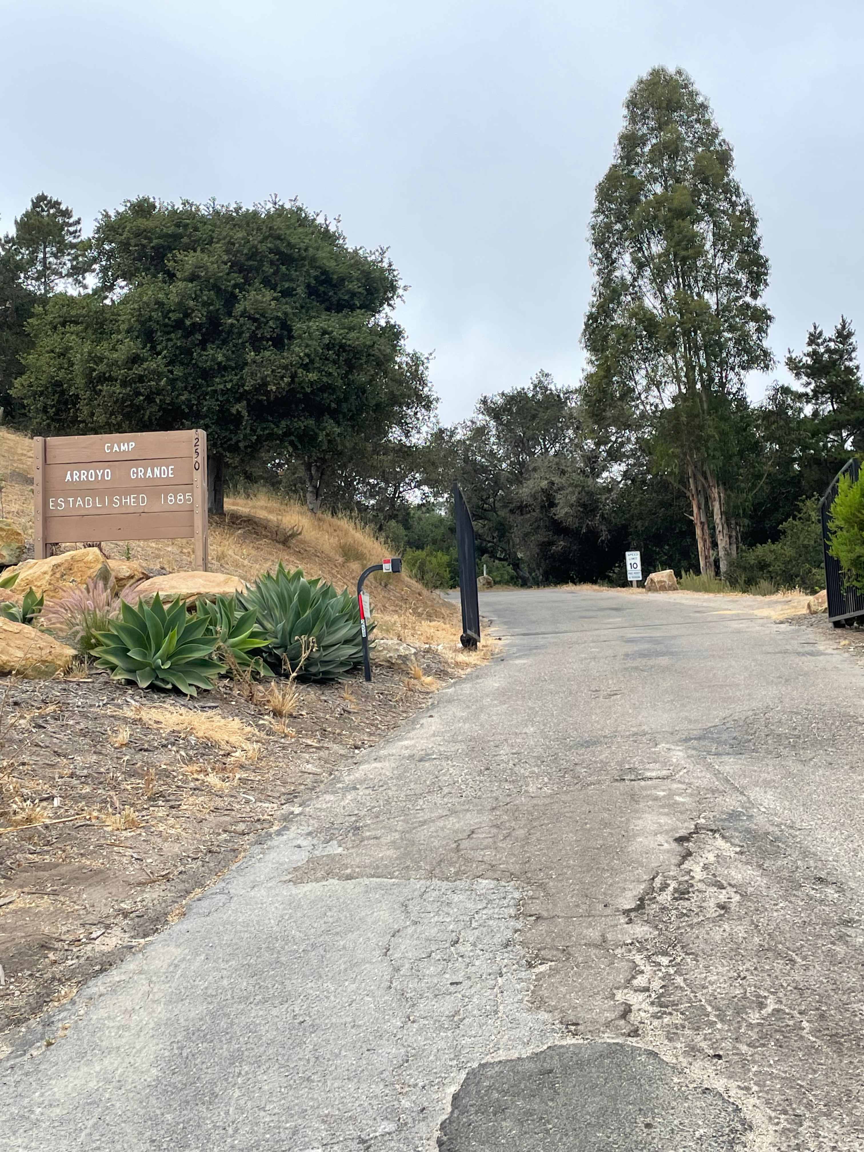 Picture of the site