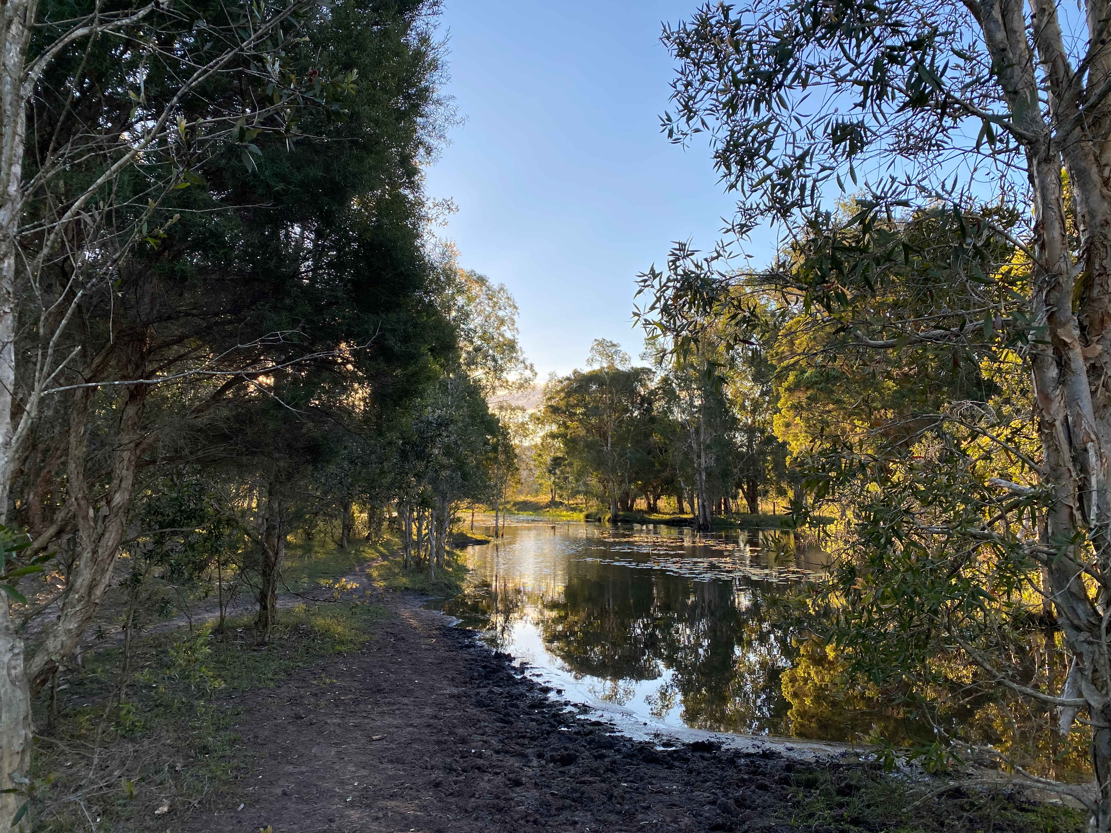 The sunset over the dam and through the trees was stunning. 