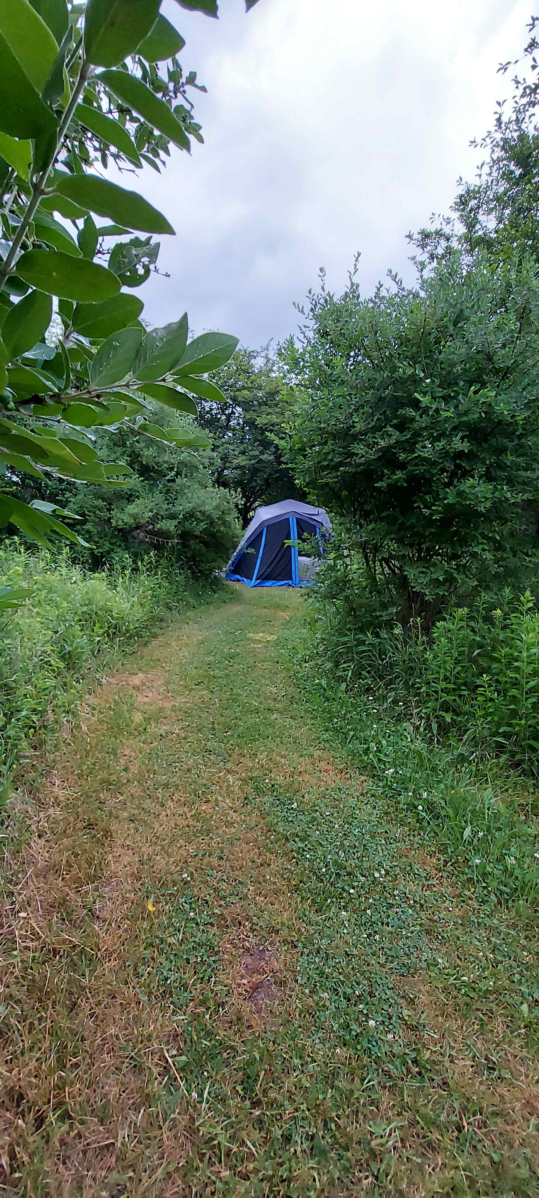 Apple Cove Farm