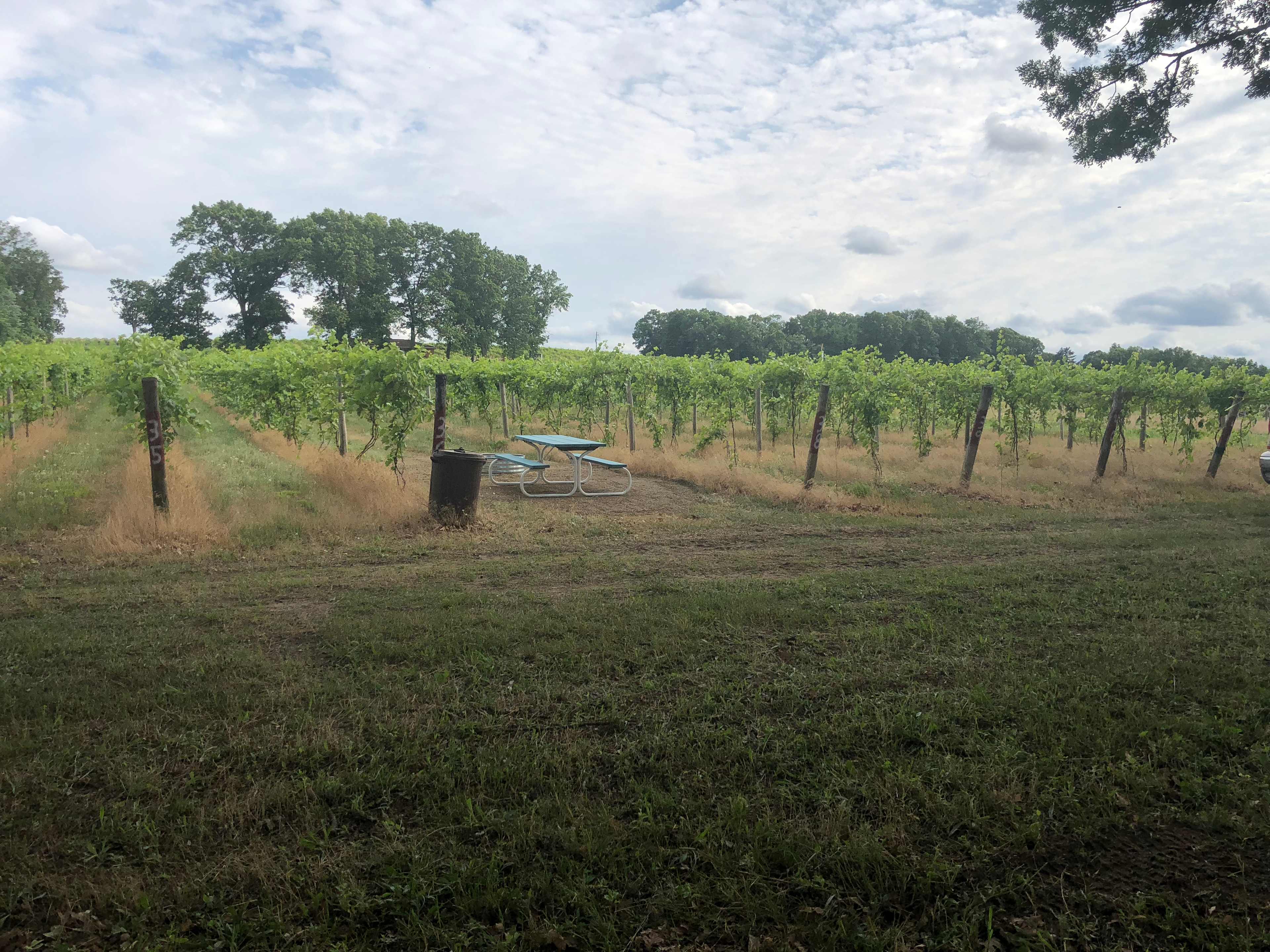 Picture of the site