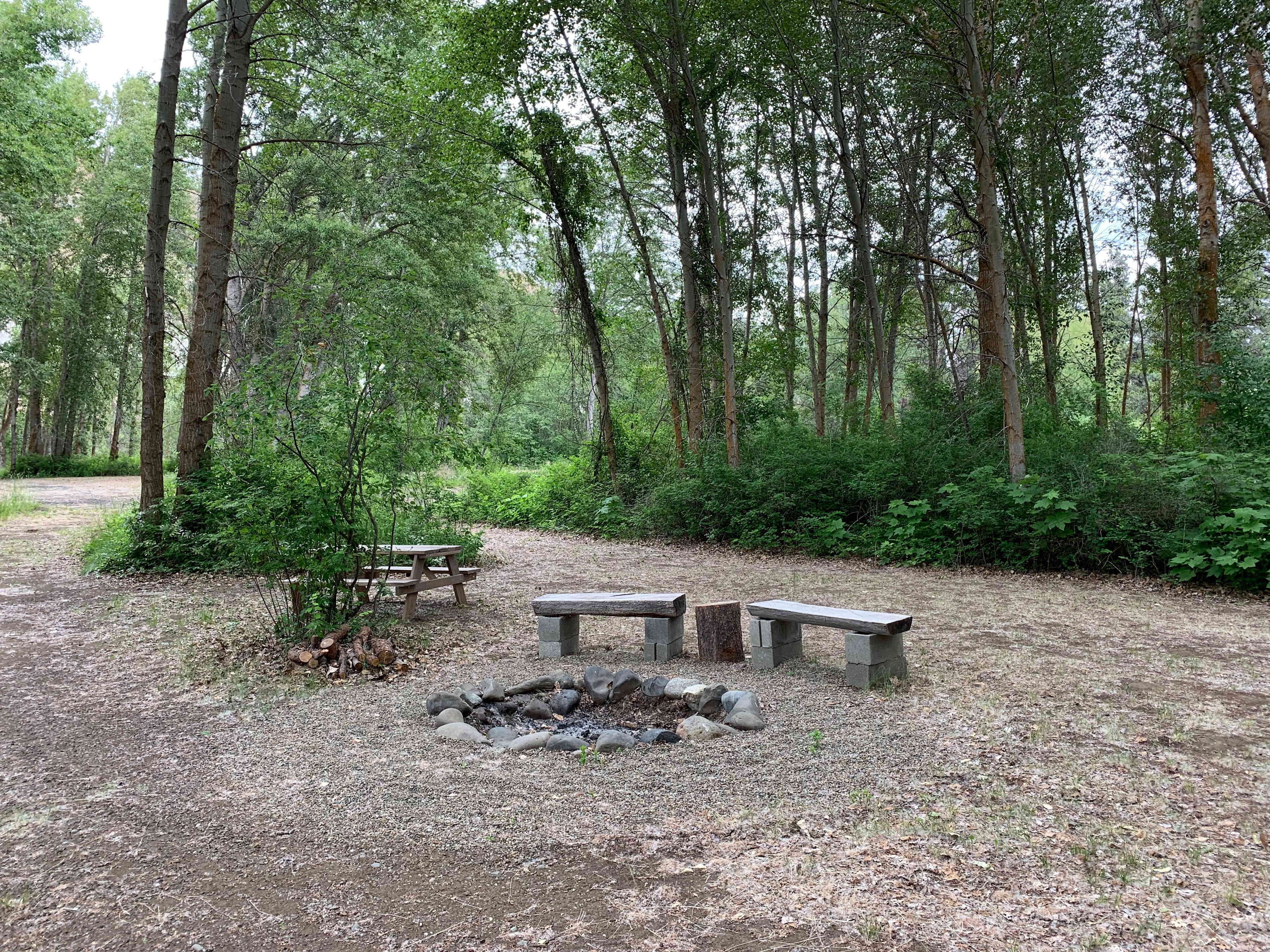 Picture of the site