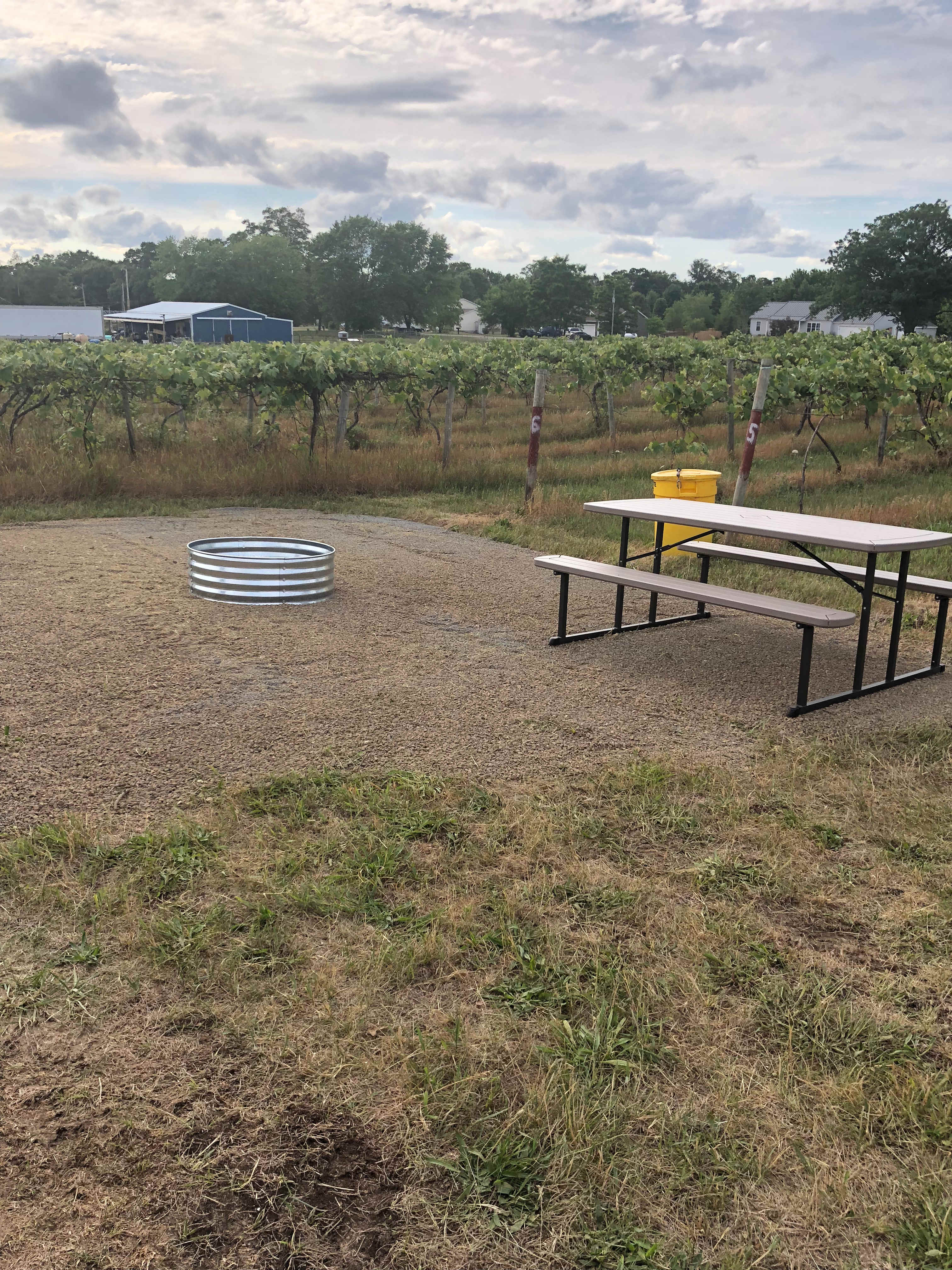 Picture of the site