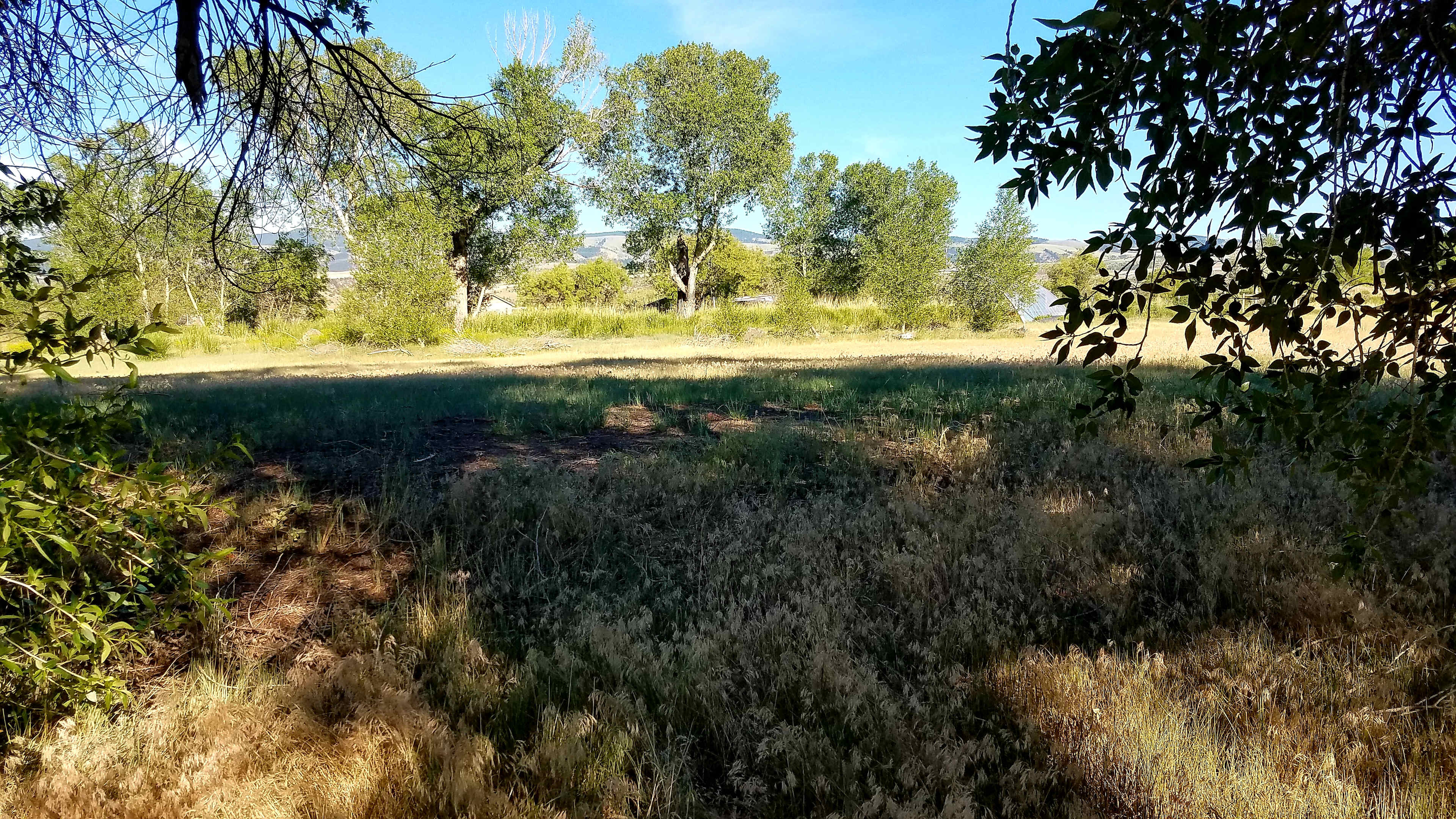 I'm standing in the site, looking east, in the late afternoon.