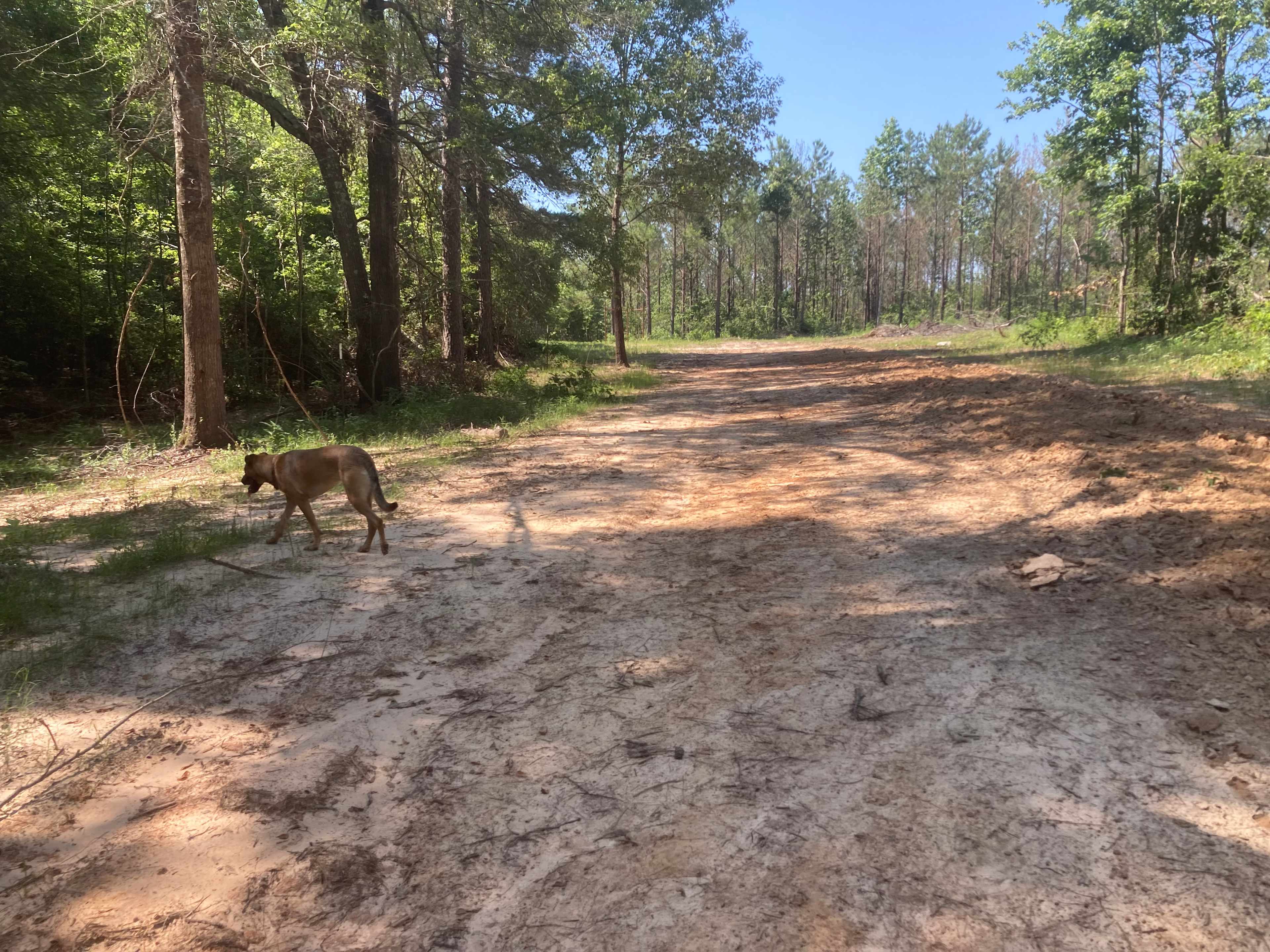 Some trails to walk a little bit
