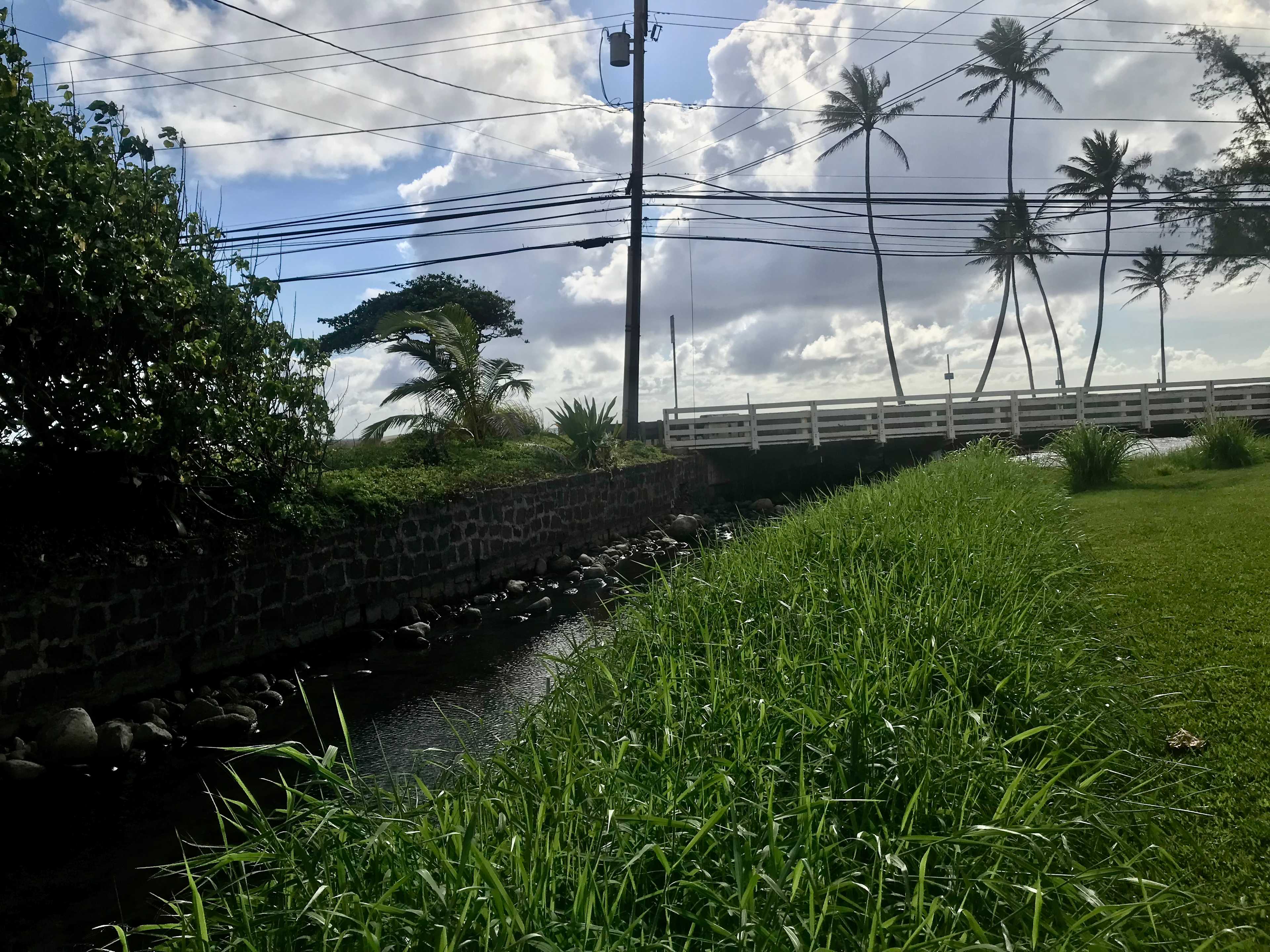 Hau'ula Homestead