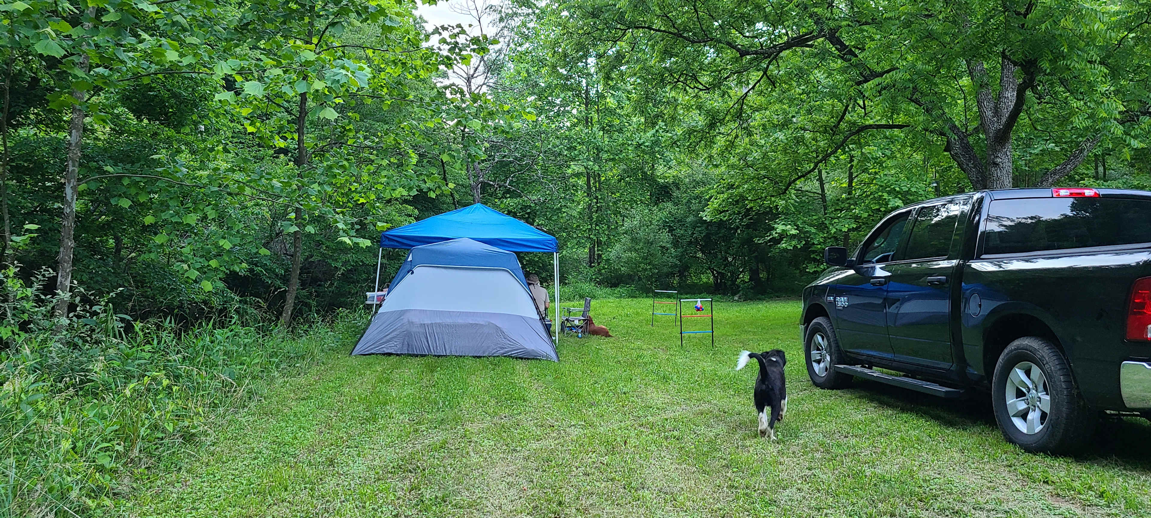 Coon Creek Cove Hideaway