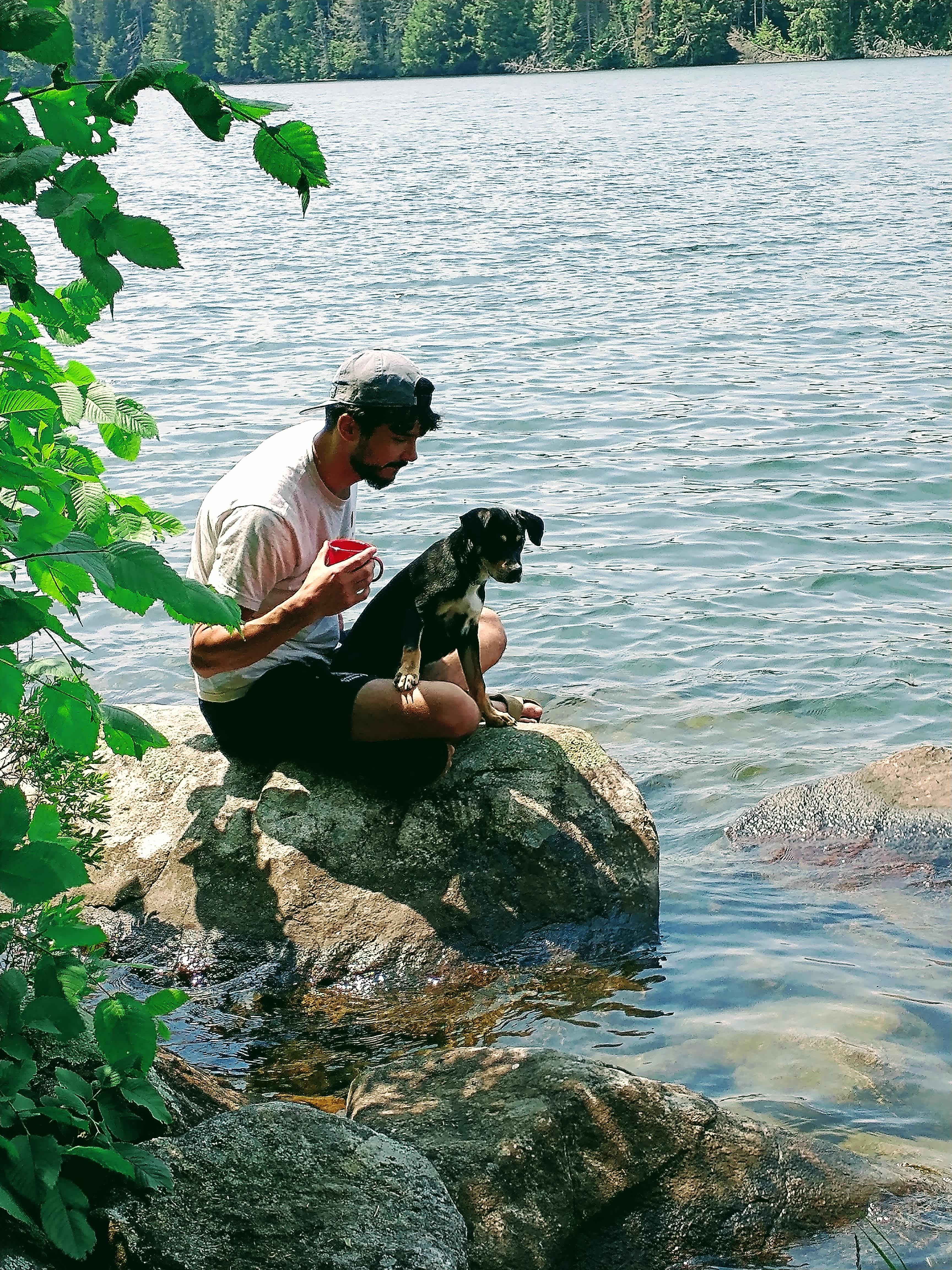 The Alcove at Martin's Pond