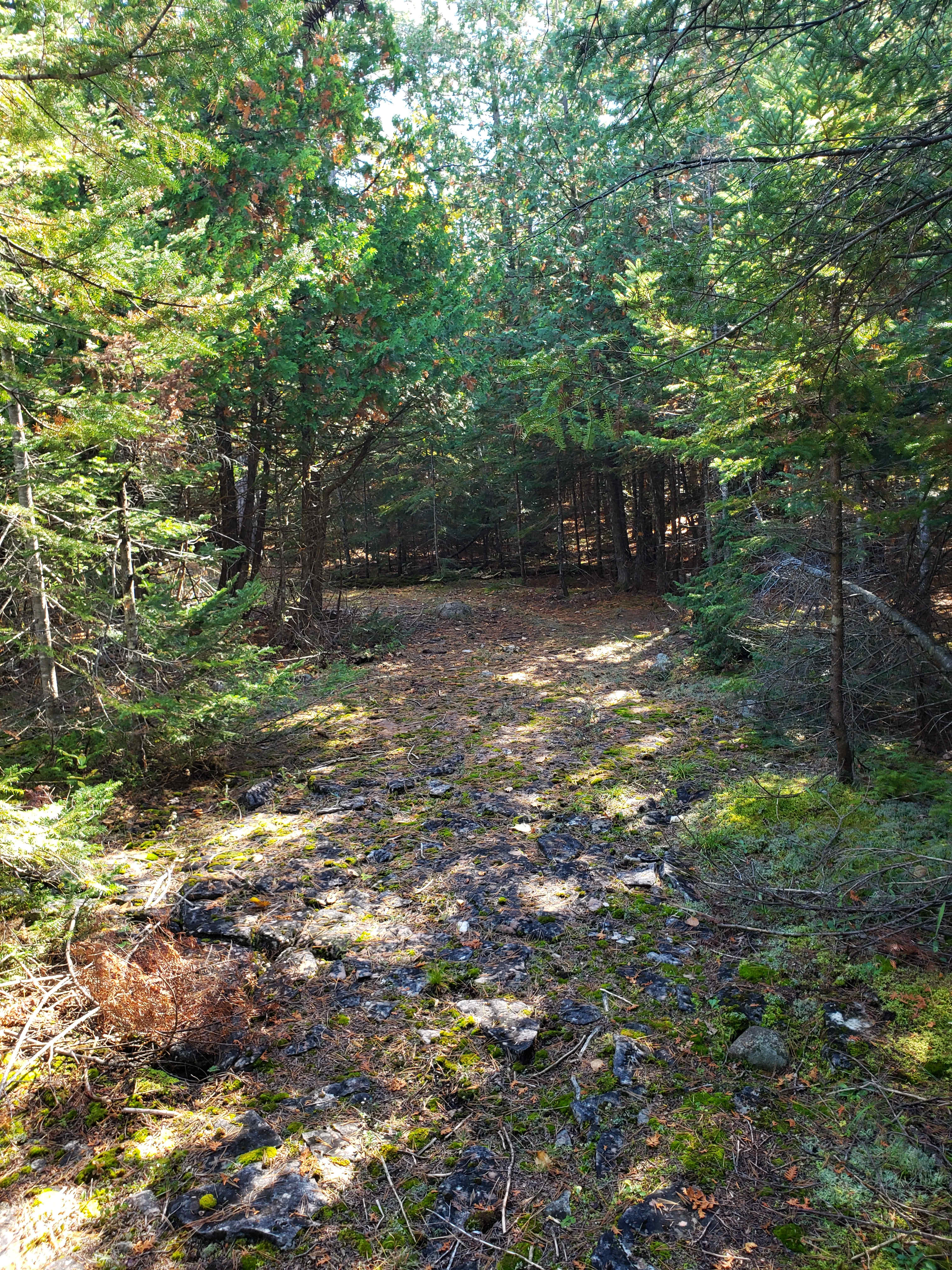 100 Acres Wood
