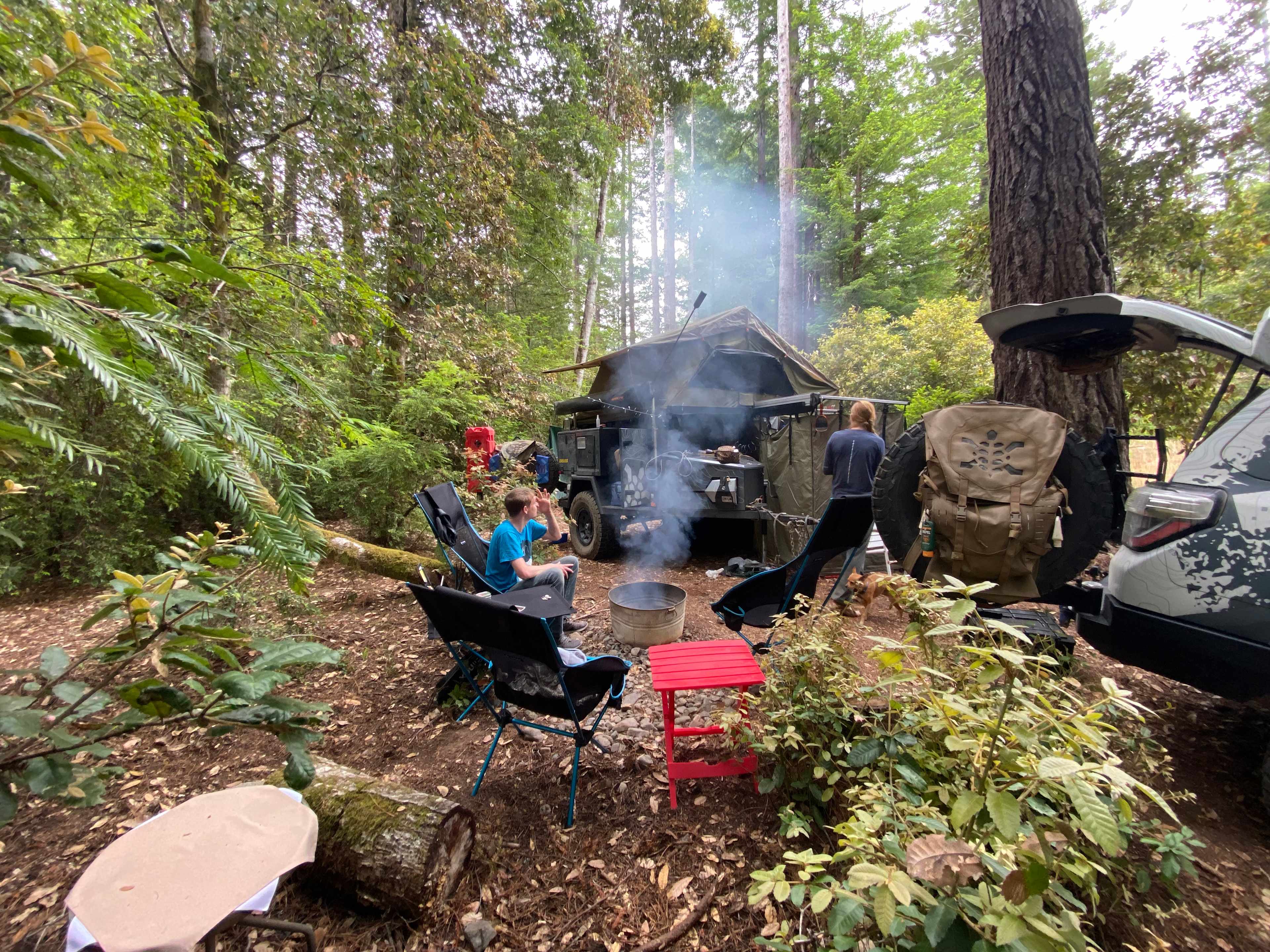 Love the forest around the camp