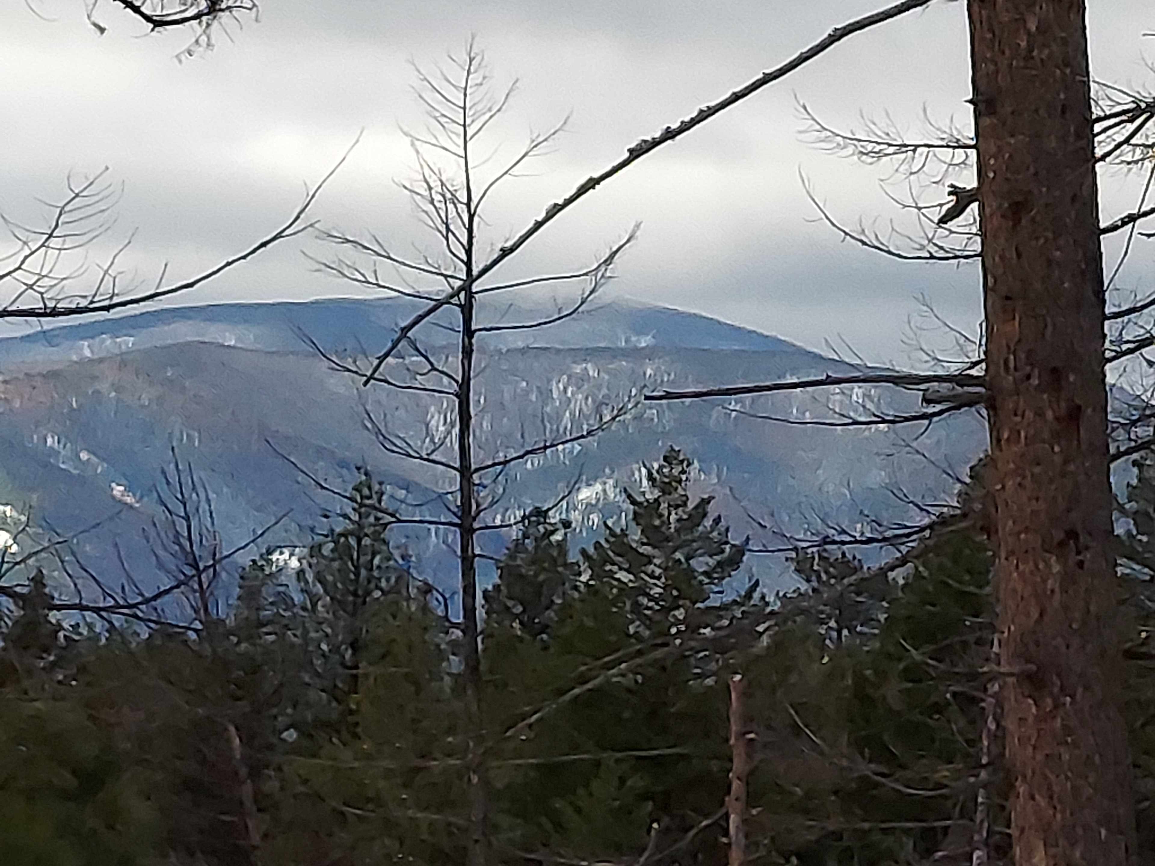 Superior lolo national forest