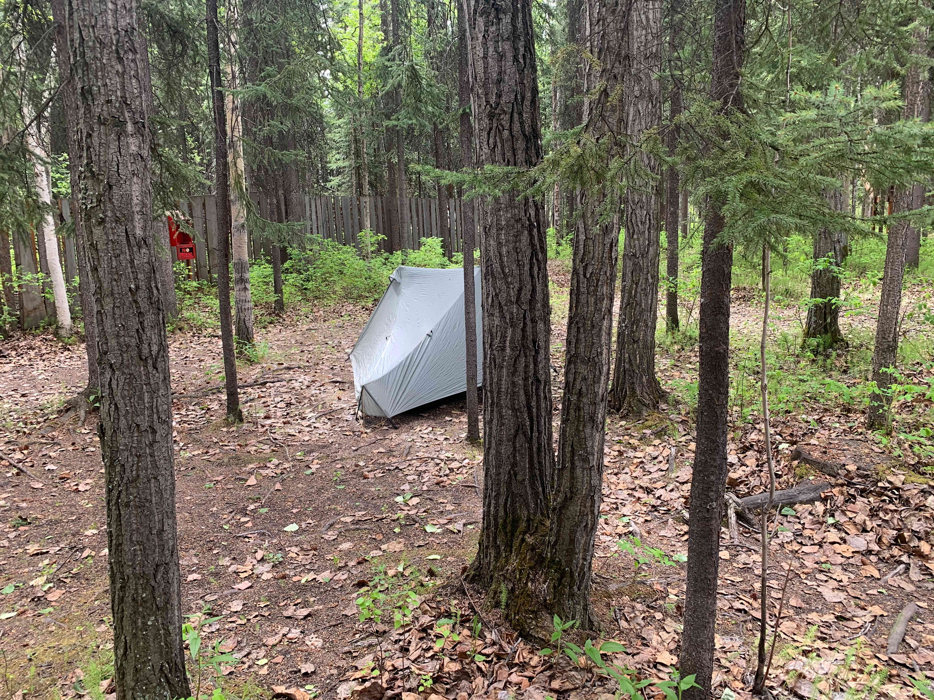 Pitch your tent in our woods and be surrounded by nature