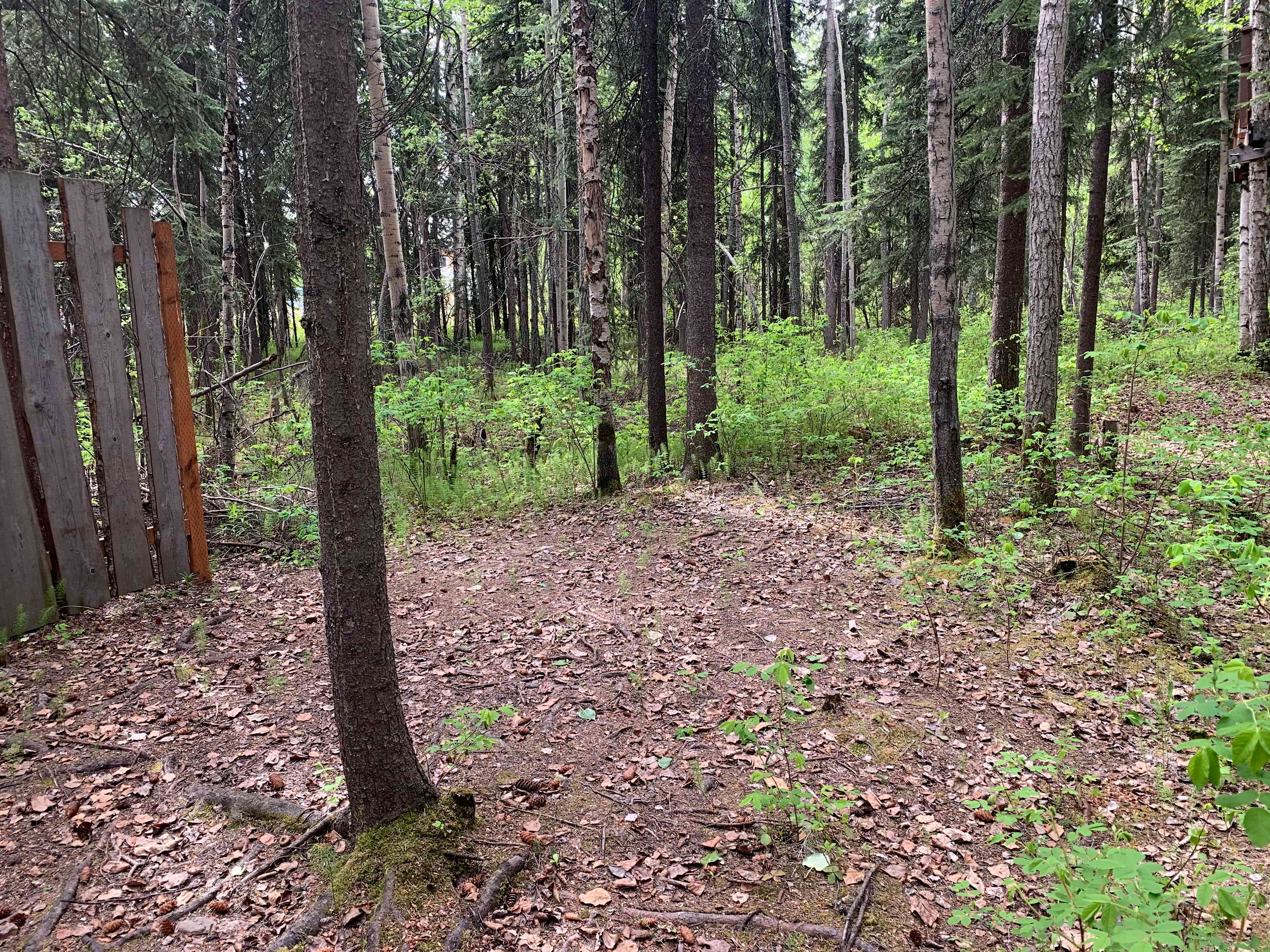 Even though we're in the city of Fairbanks, join us in our little oasis