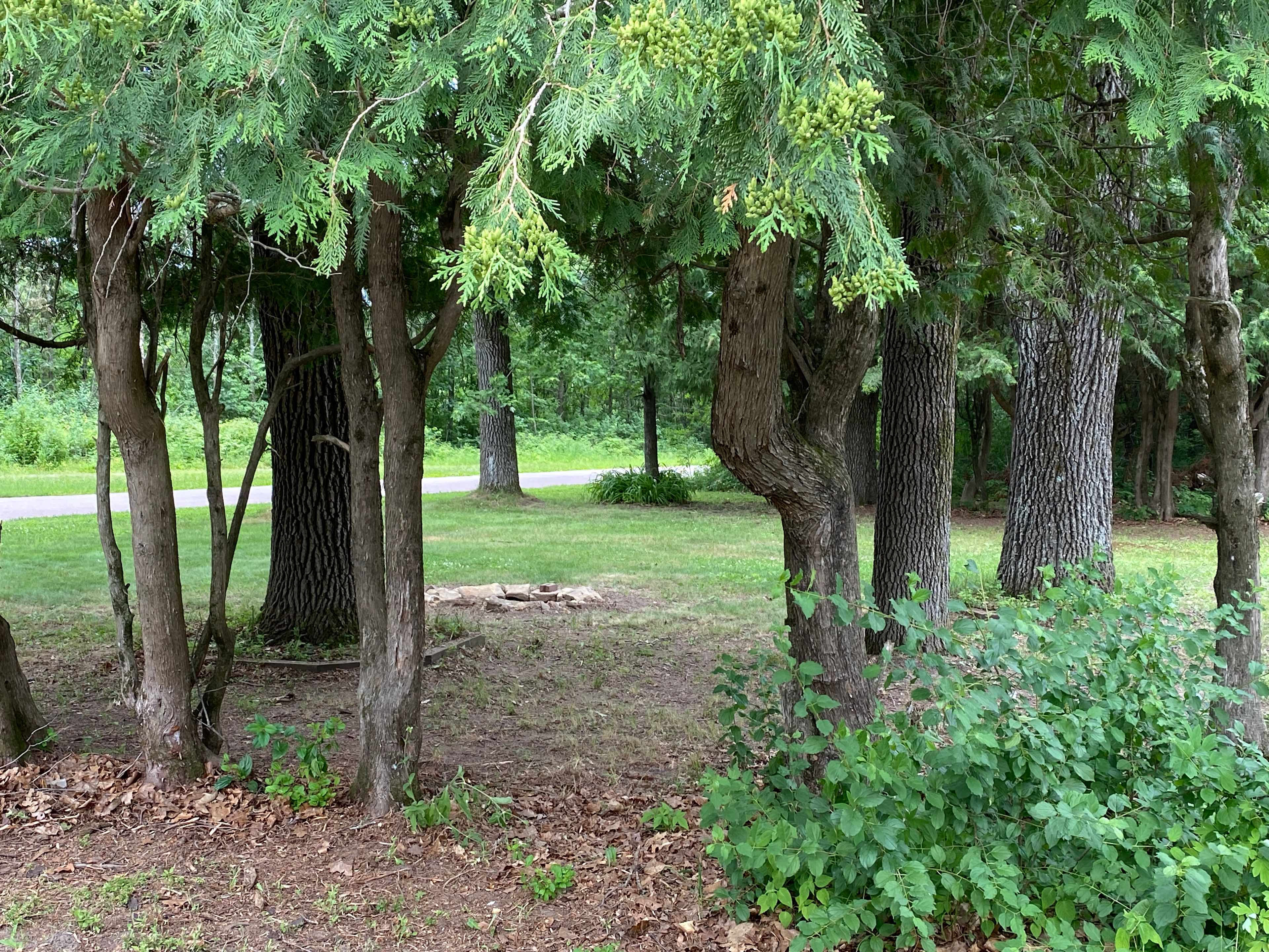 Jeske Equestrian Campground