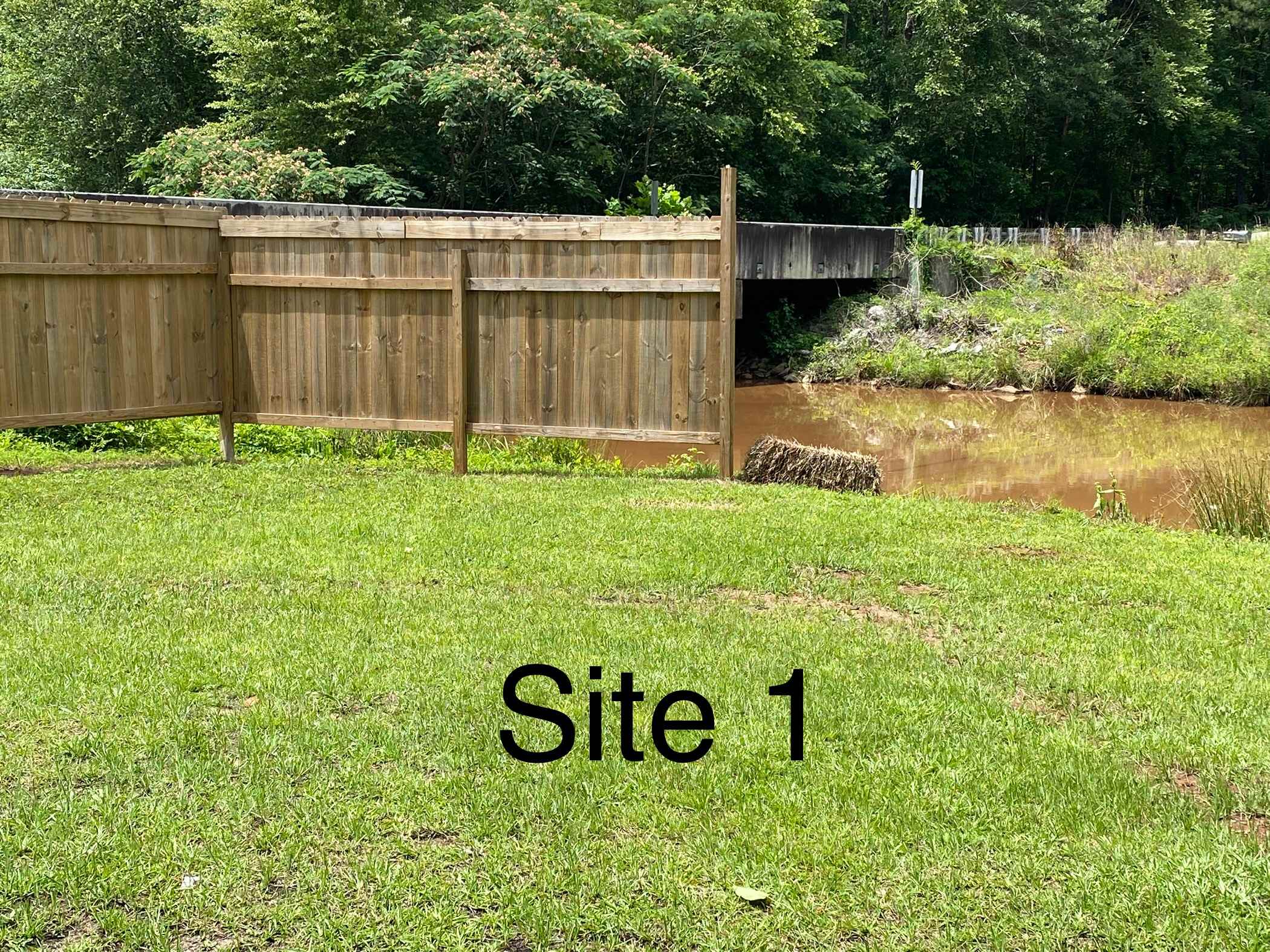 Picture of the site