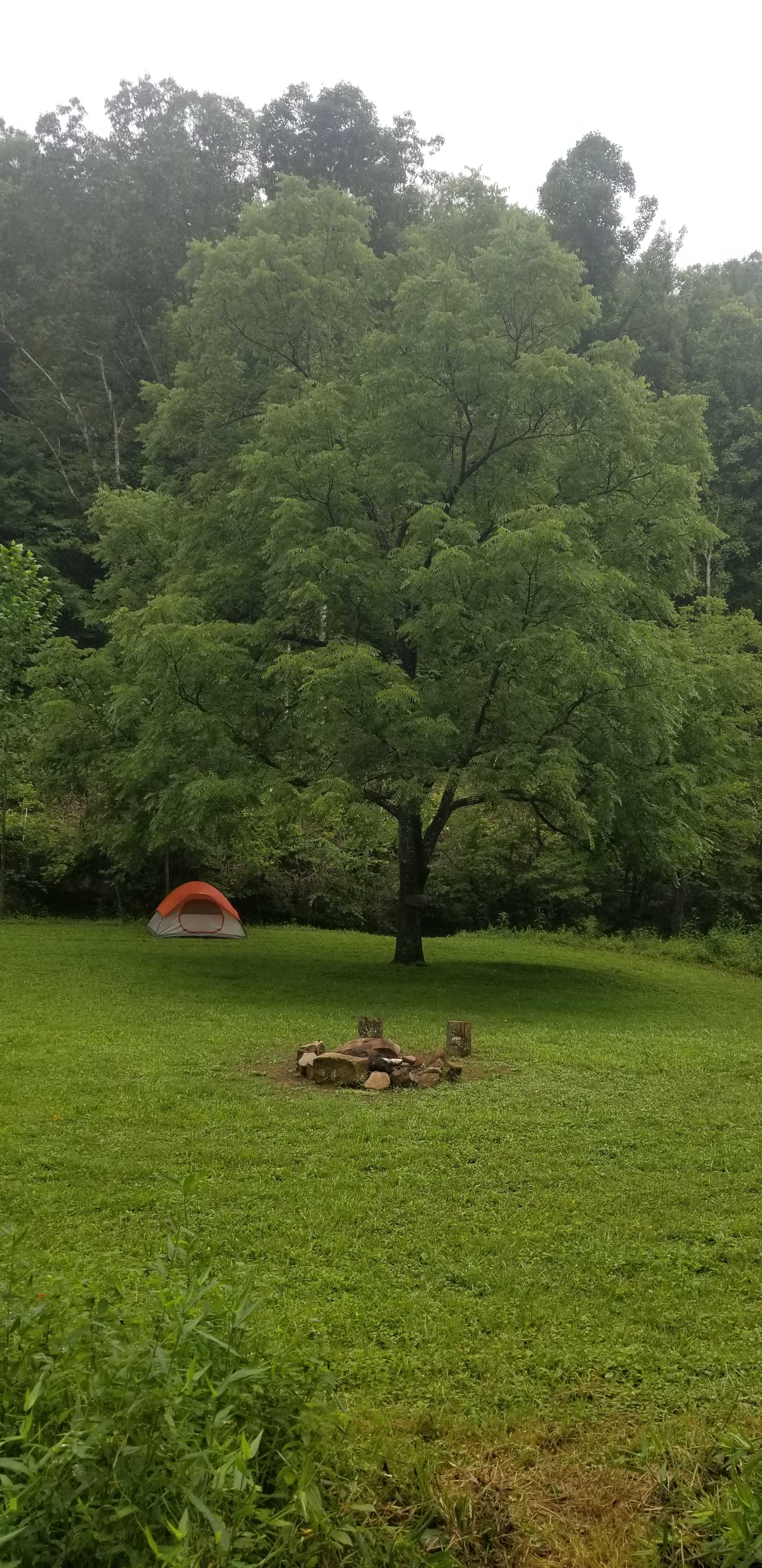 Coon Creek Cove Hideaway