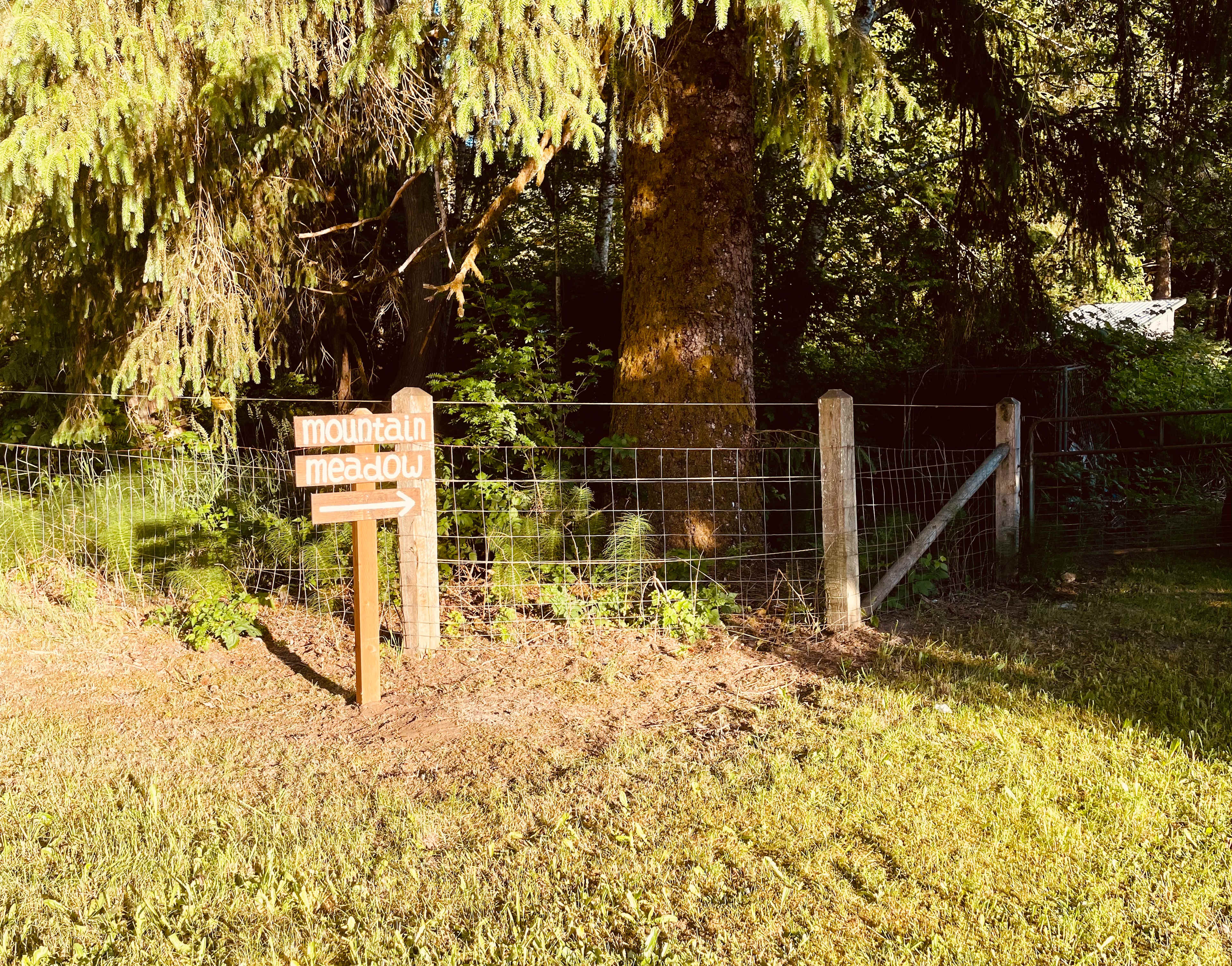 NEW ENTRANCE