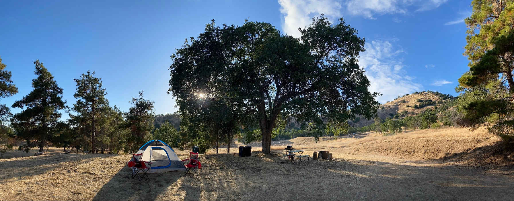 Picture of the site