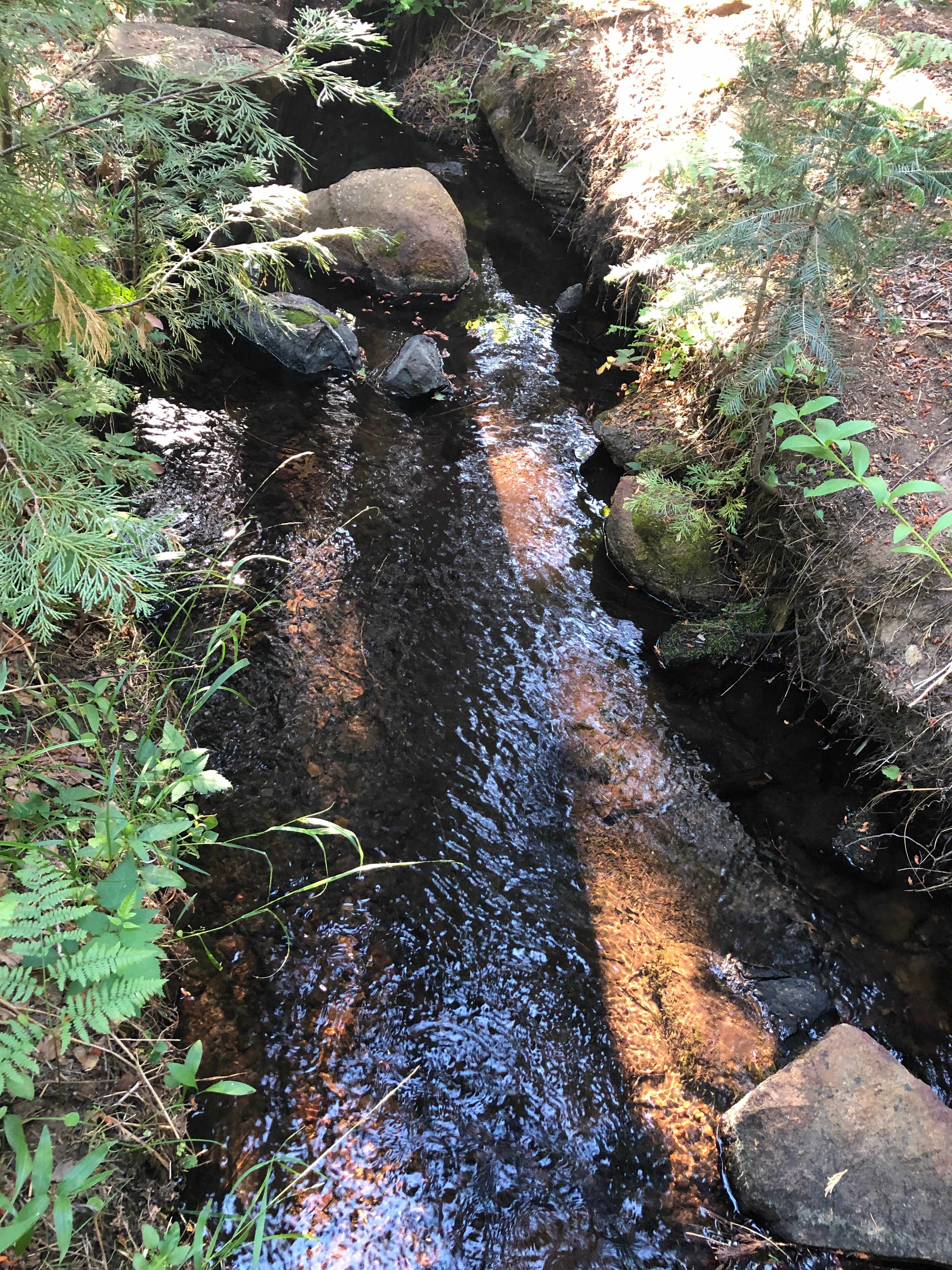 The Cozy Creek
