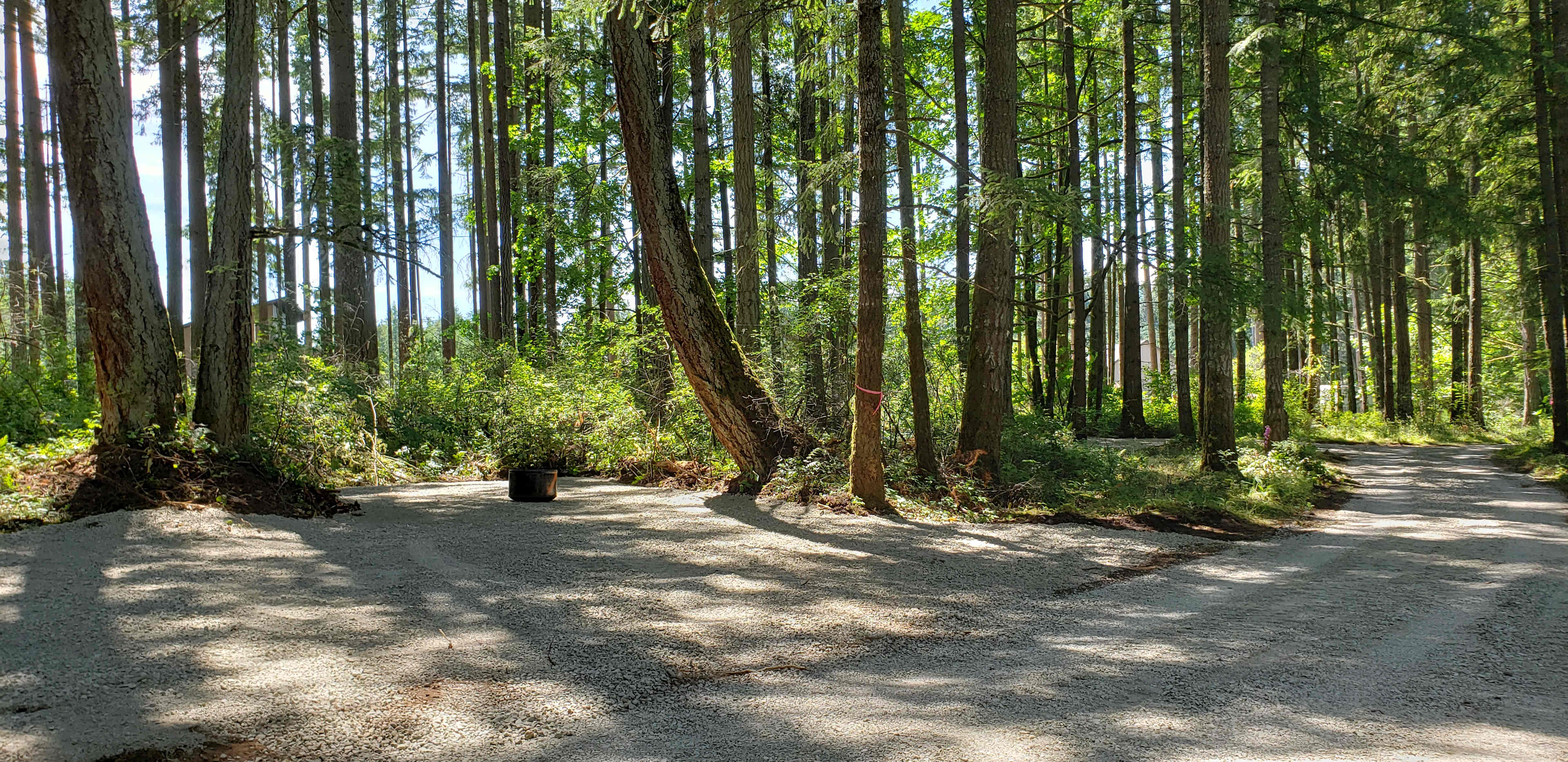 Access drive to campsite
