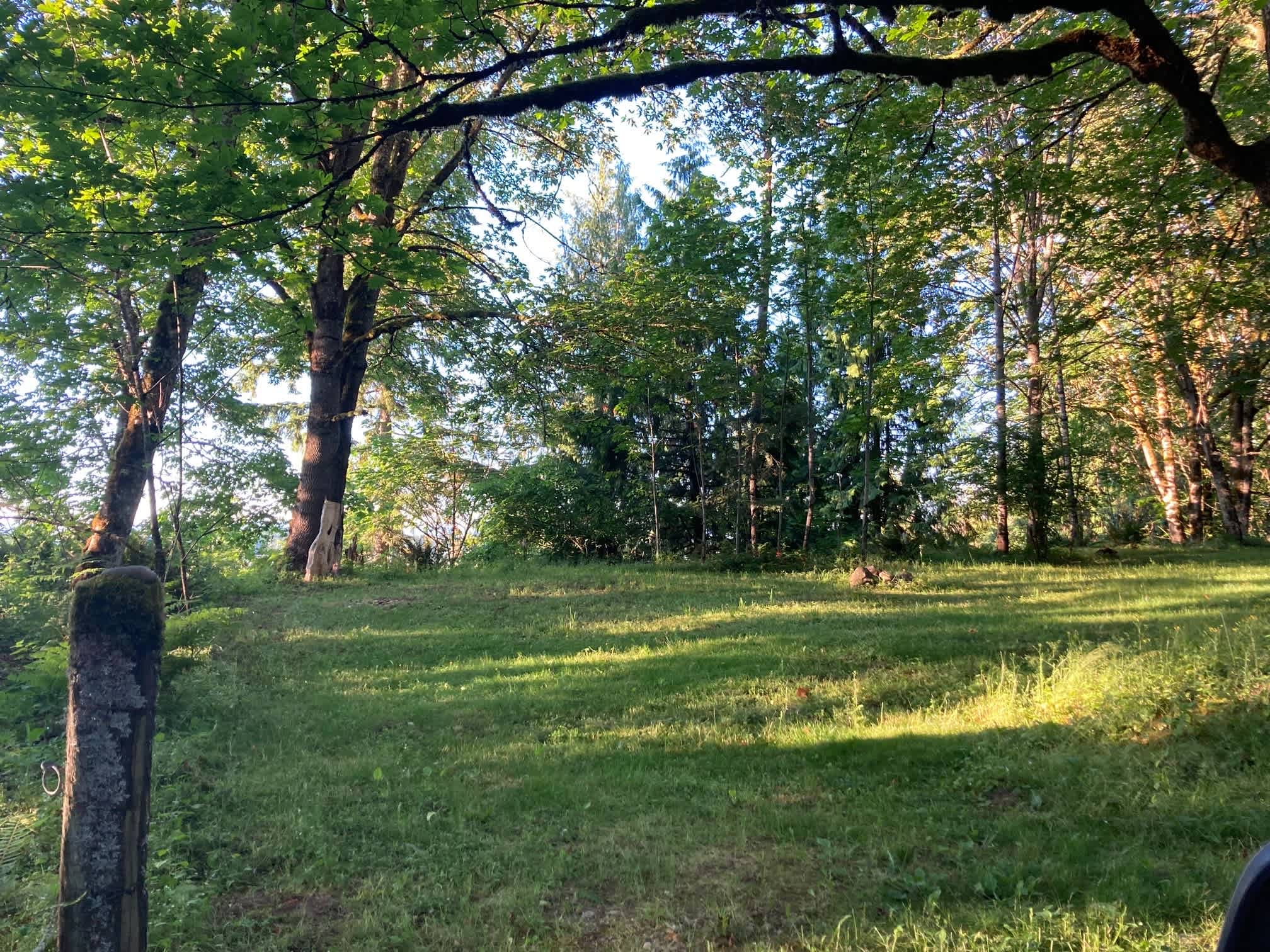 Tent site #1