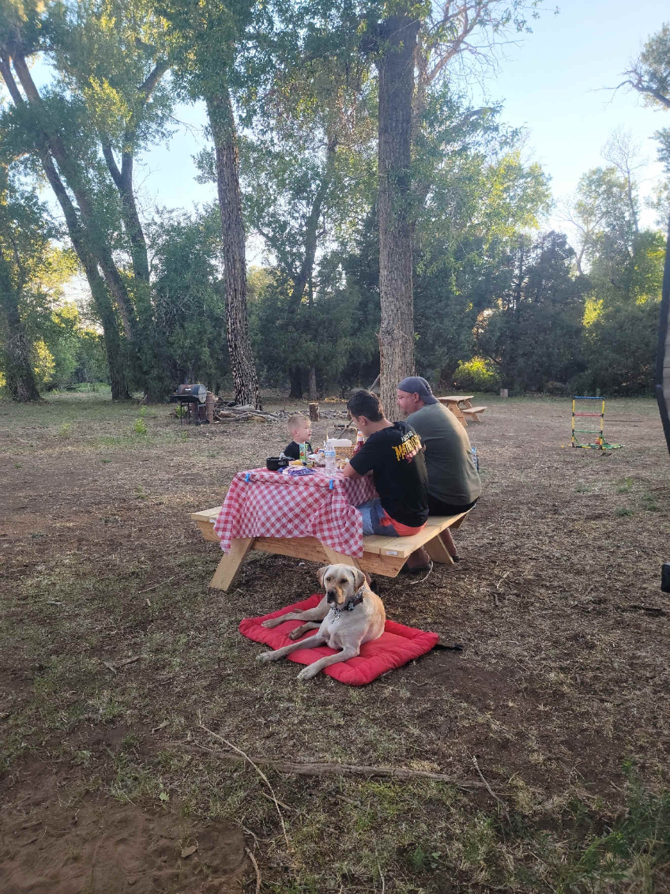 Tranquility @ The Farm