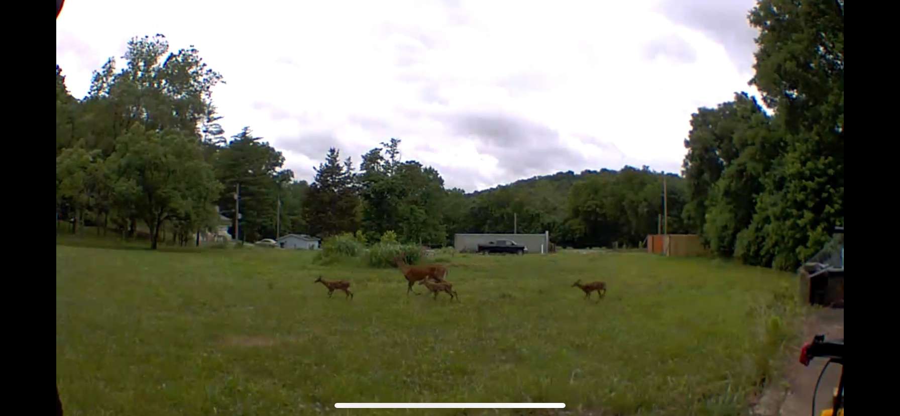 The field