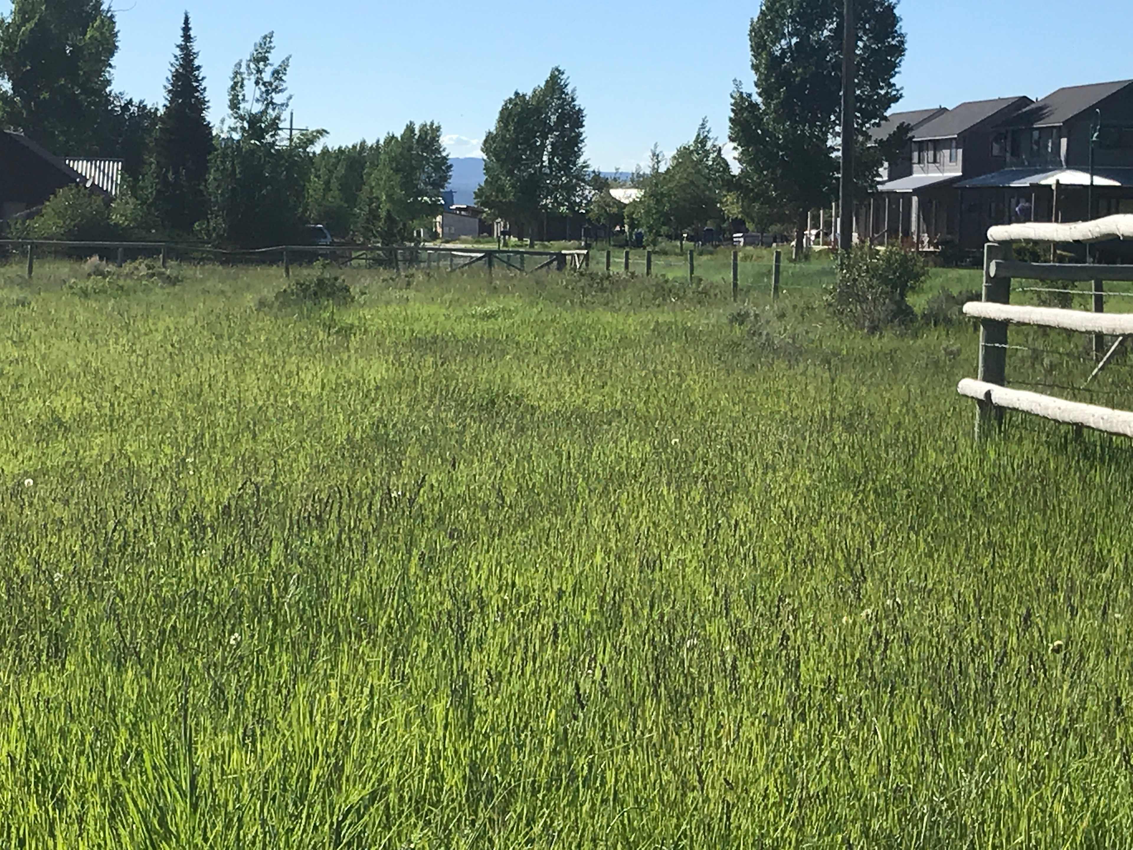 Ross Meadow RV