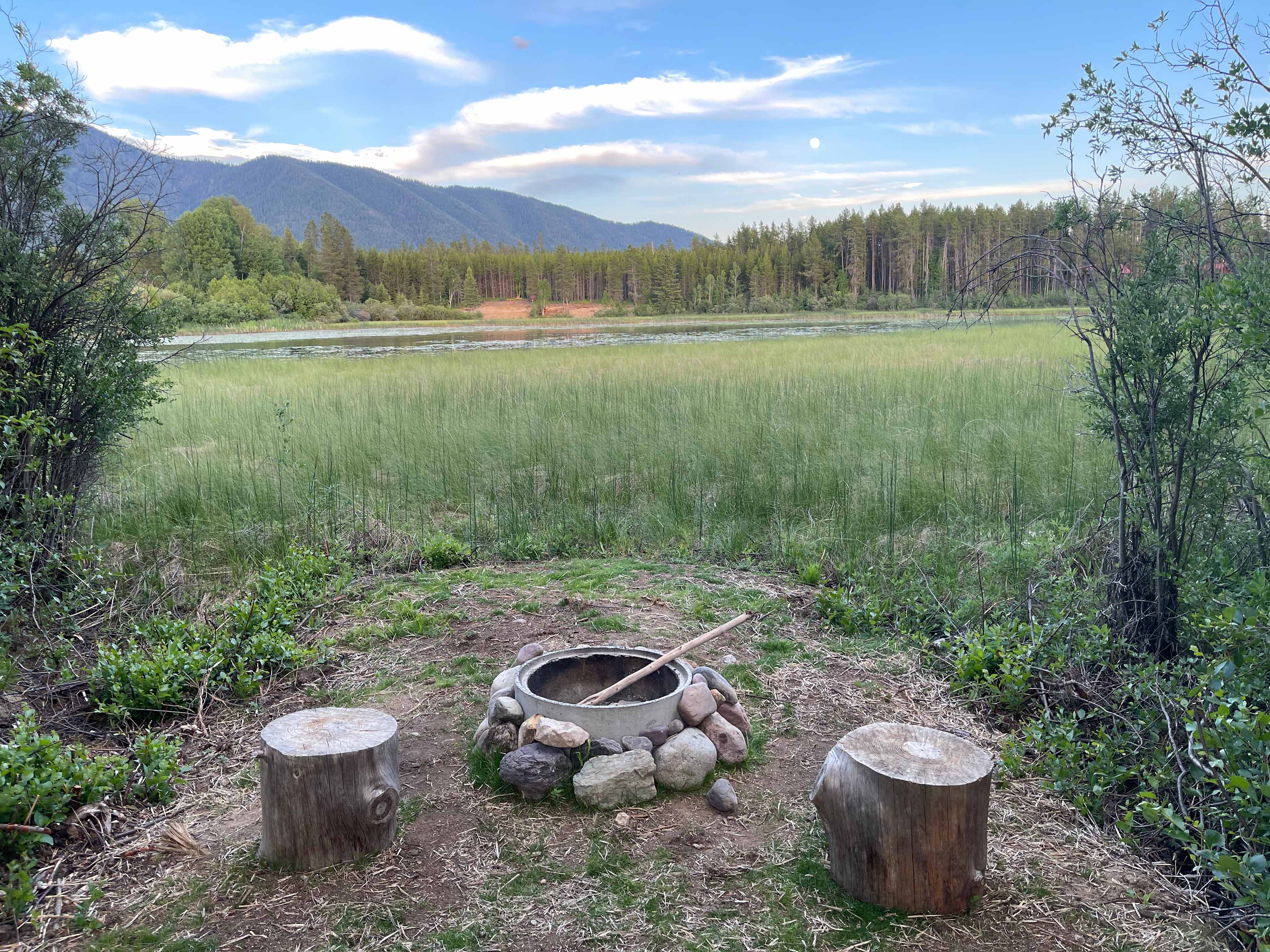 Picture of the site