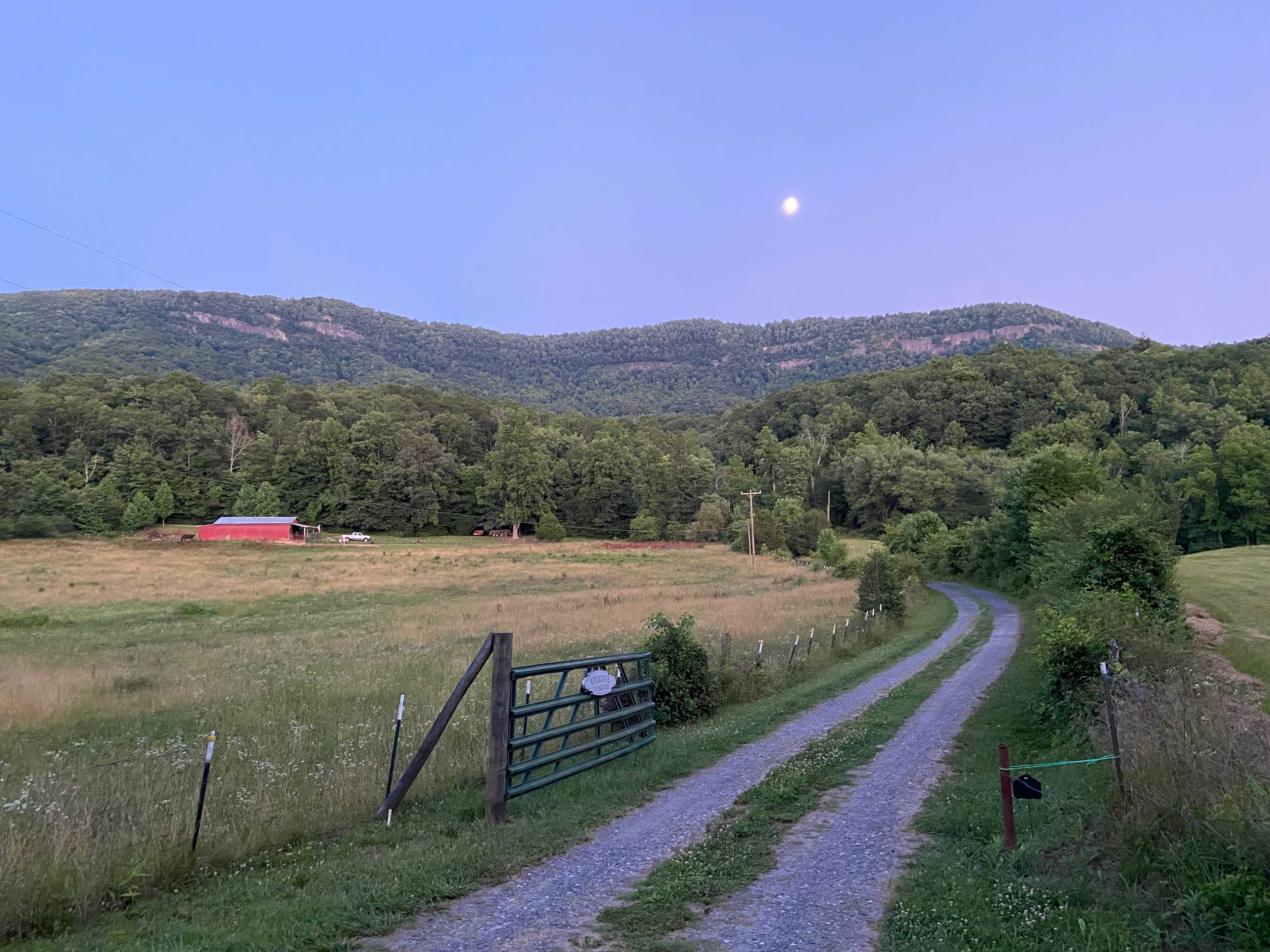 Michele S.’s Land