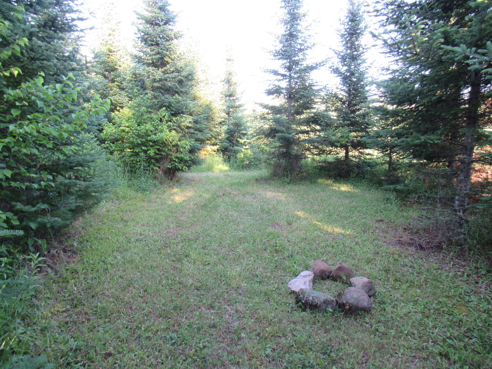 Picture of the site