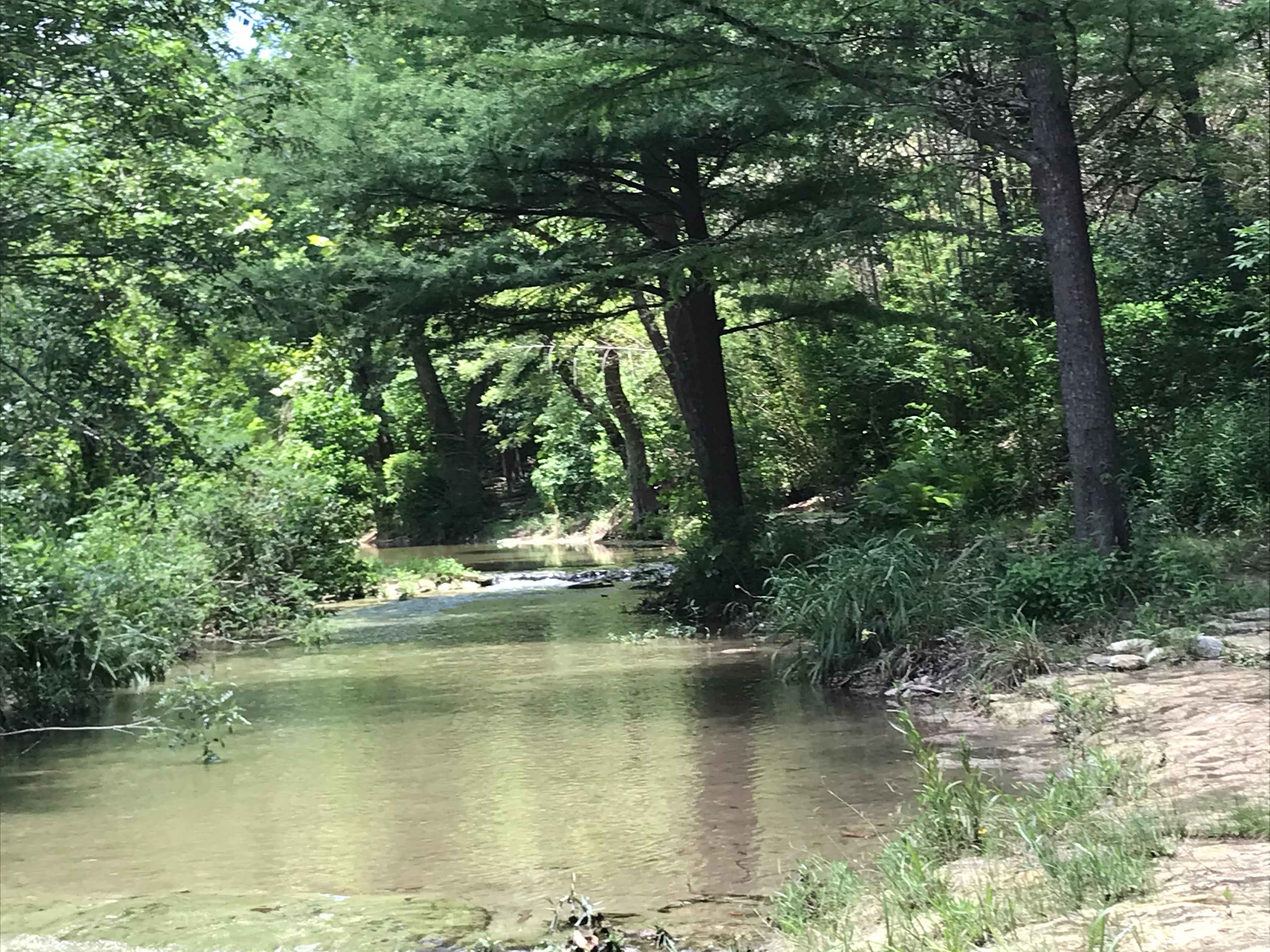 One more view of the creek  June, 2021.