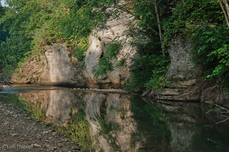 Fox Field Farms Creekside Camping